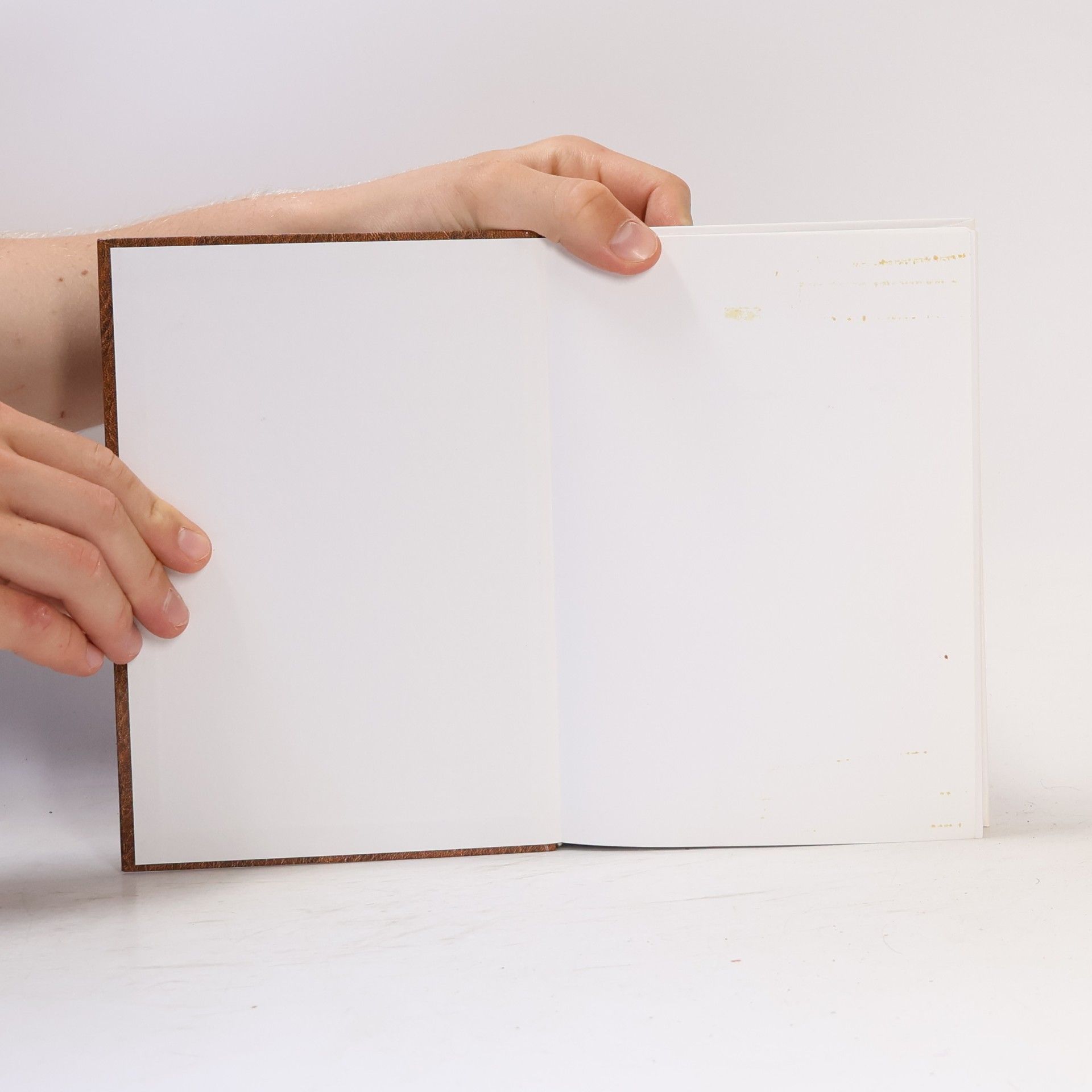 Helena Růžičková Deník mezi životem a smrtí I.-III. Souhrnné vydání