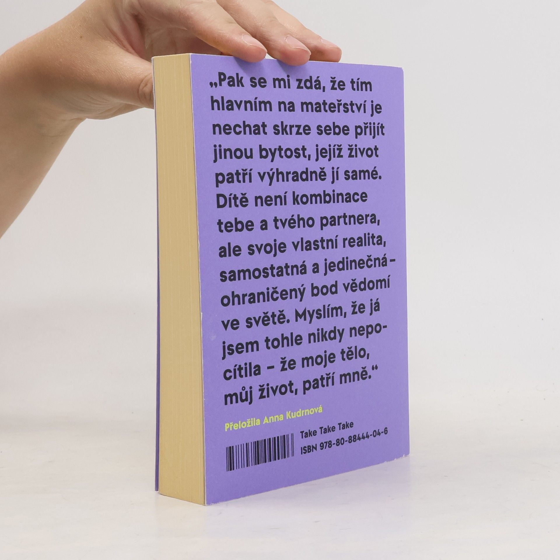 Sheila Heti Mateřství