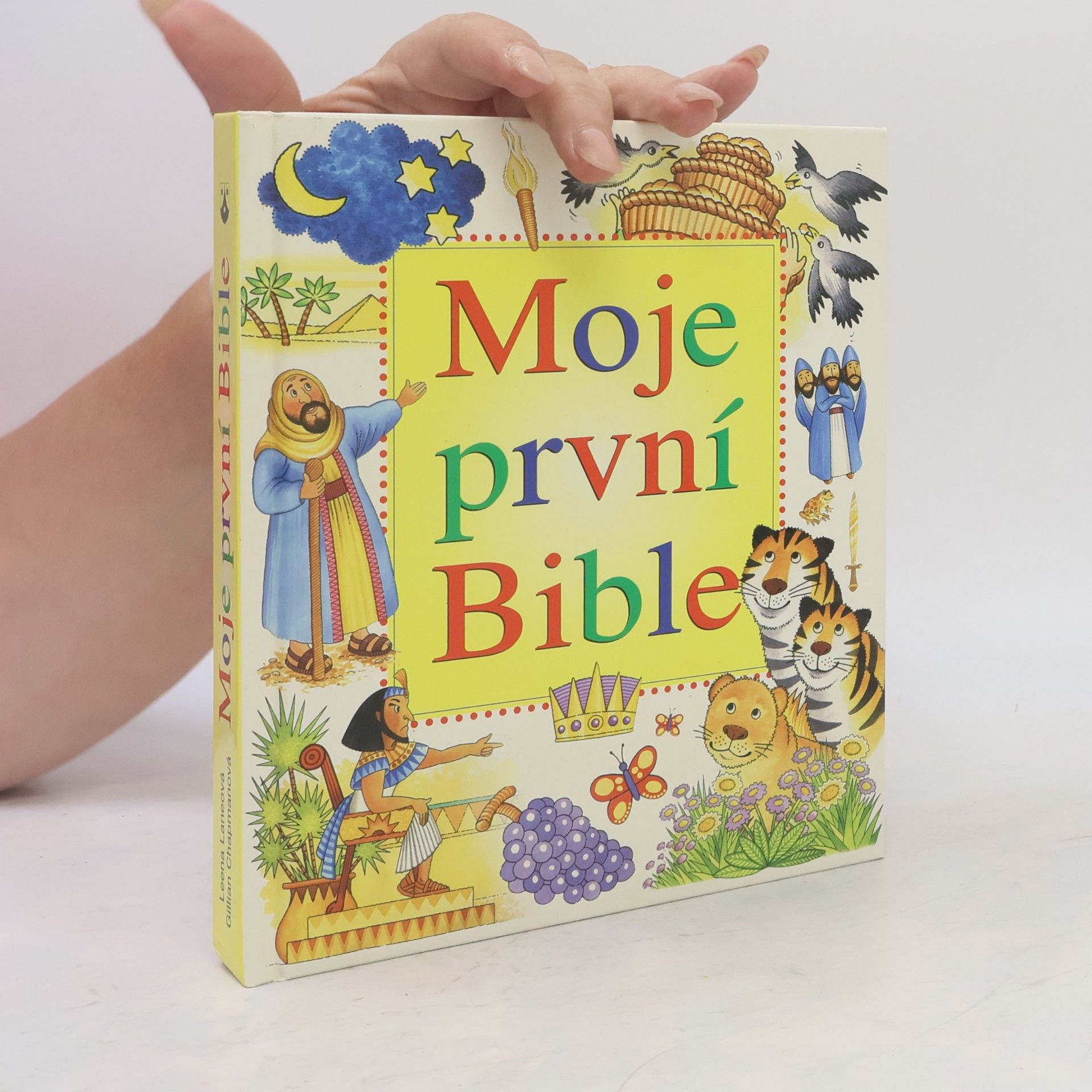 Gillian Chapman Moje první Bible
