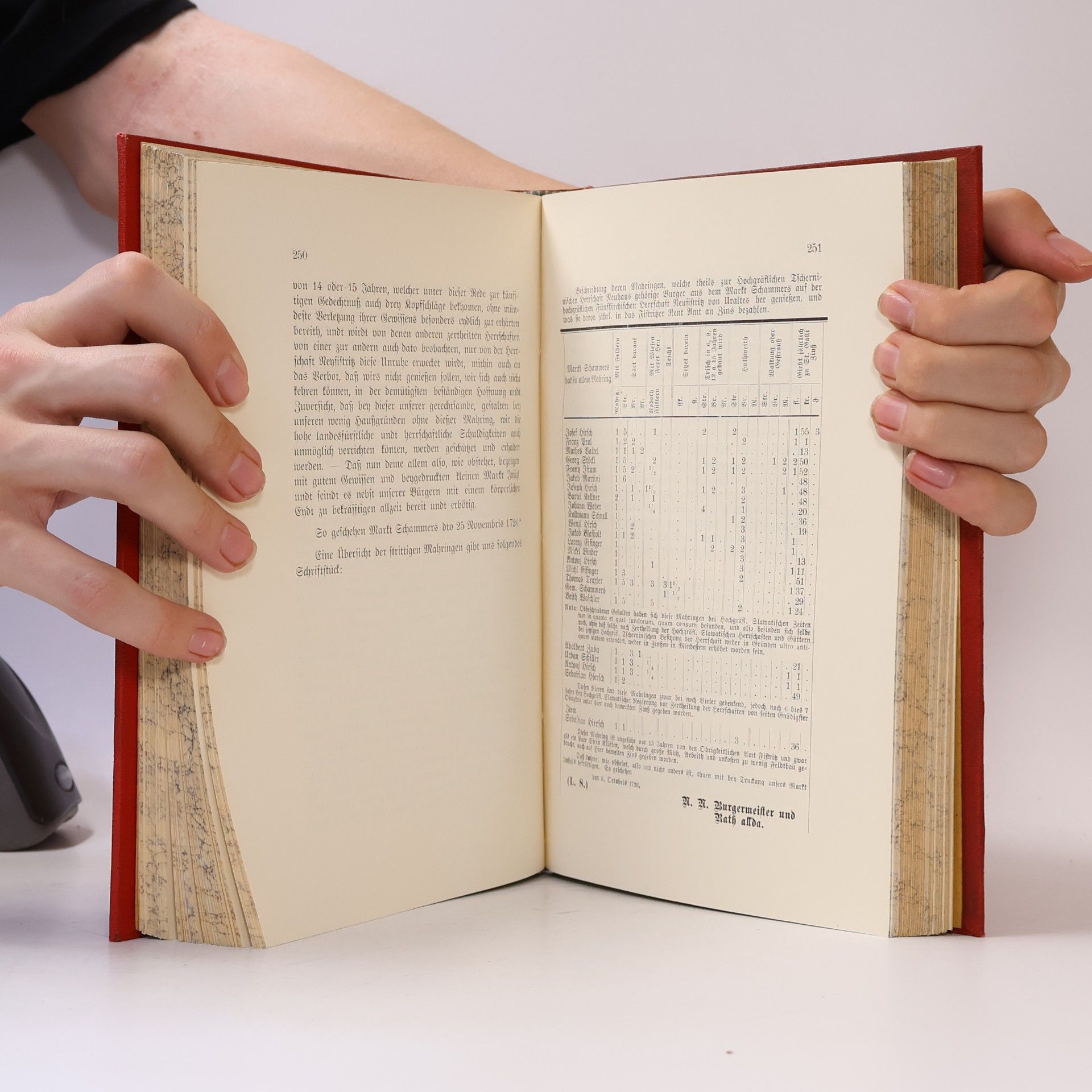 Josef Binder Heimatskunde des Marktes Schamers in Böhmen