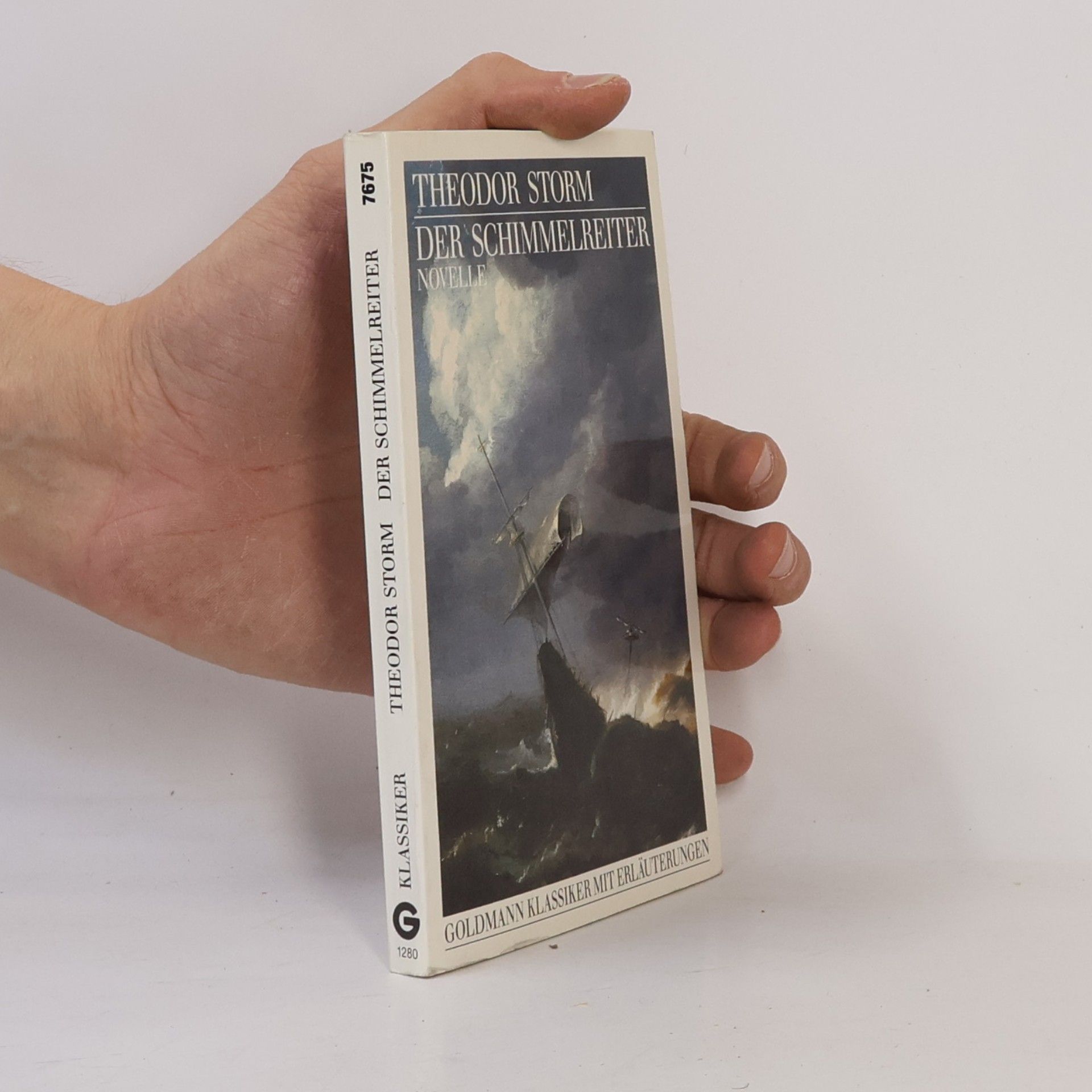 Theodor Storm Goldmann Klassiker: Der Schimmelreiter