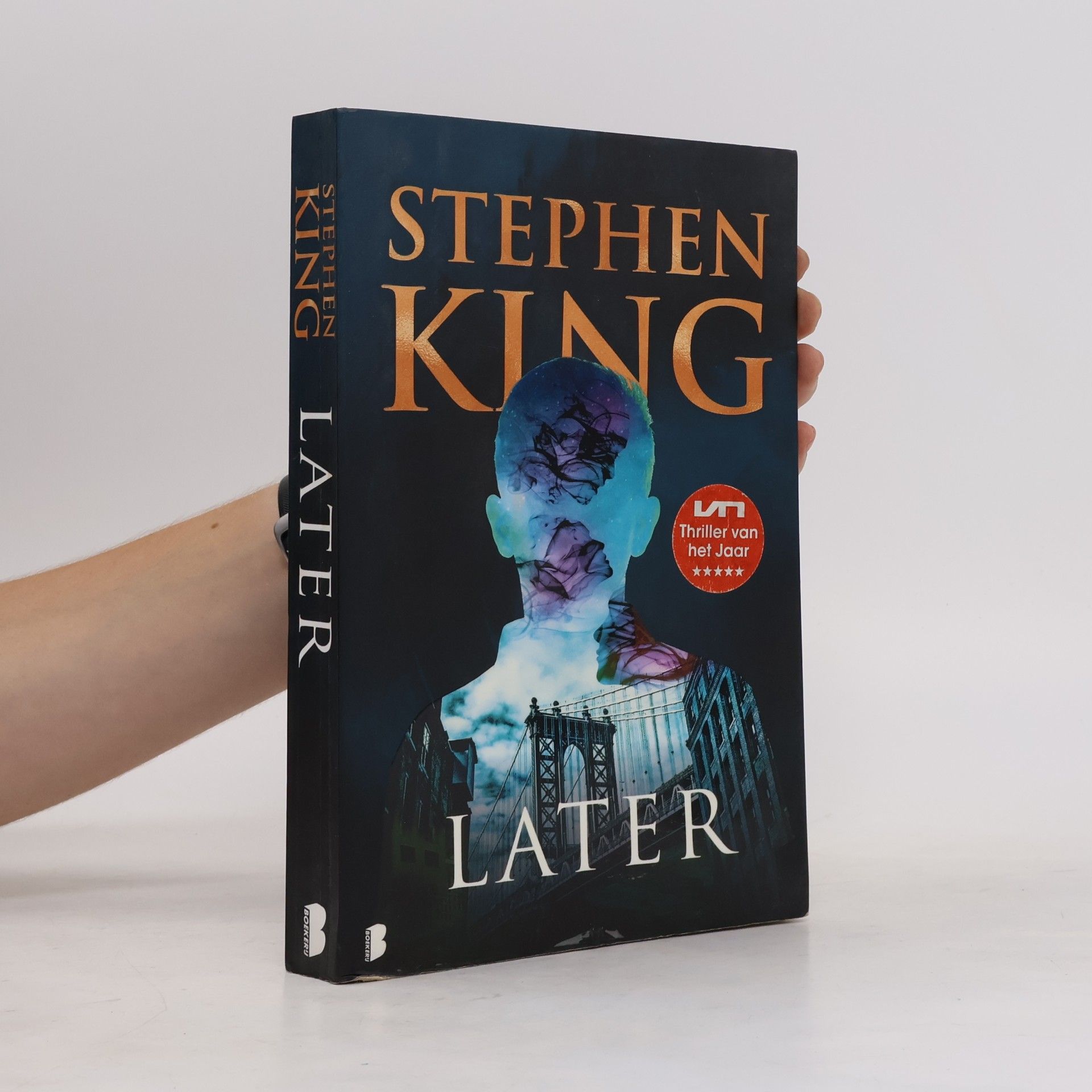 Stephen King Later