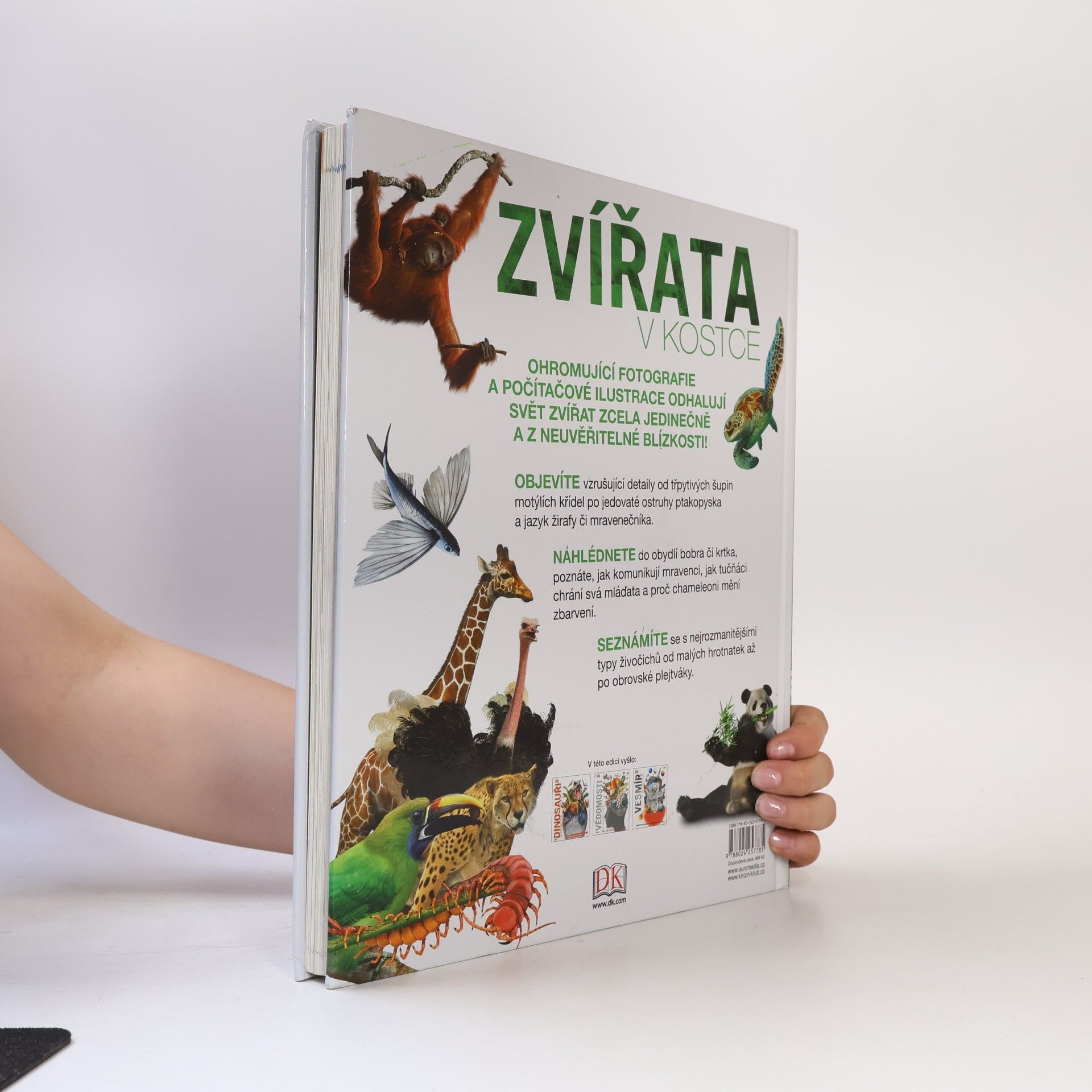 Collectif d'auteurs Zvířata v kostce