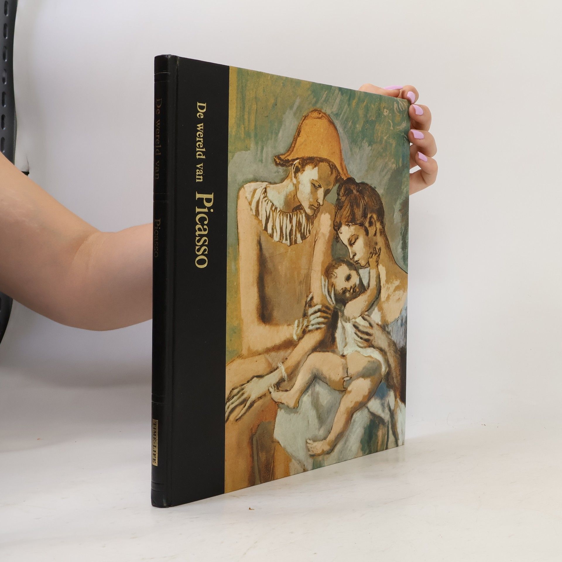 Autorenkollektiv De wereld van Picasso