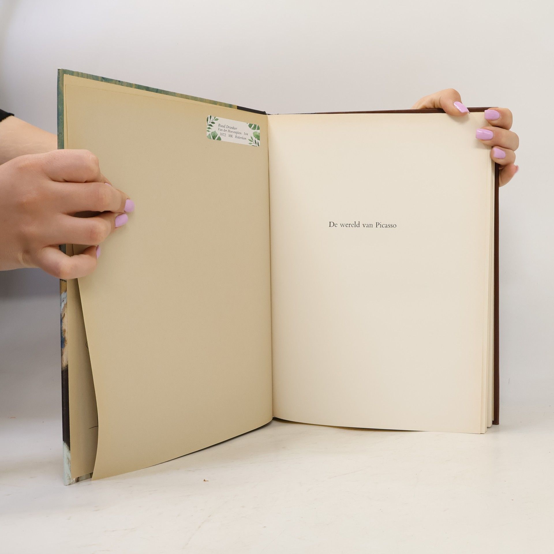 Autorenkollektiv De wereld van Picasso