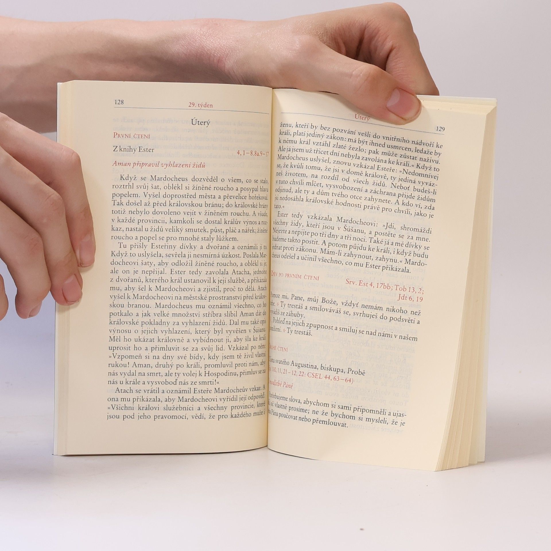 Various authors Denní modlitba církve