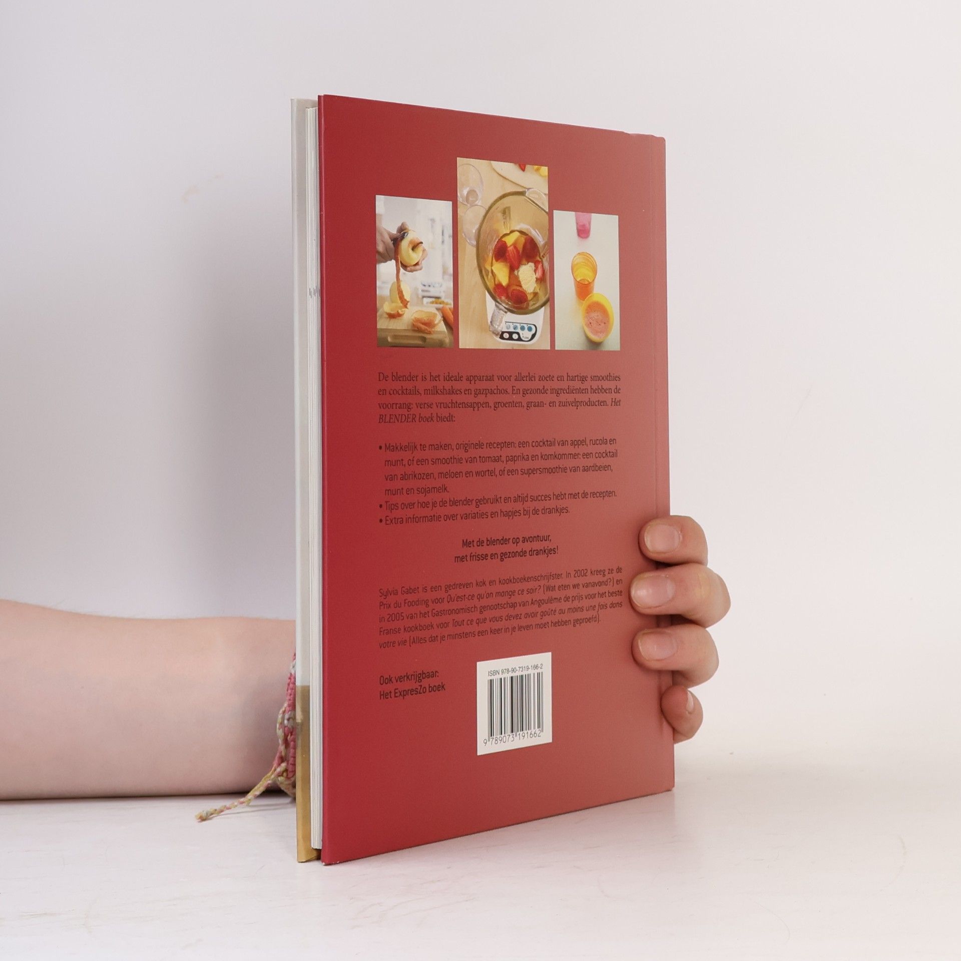 Sylvia Gabet Creatief Culinair - 1: Het Blender boek