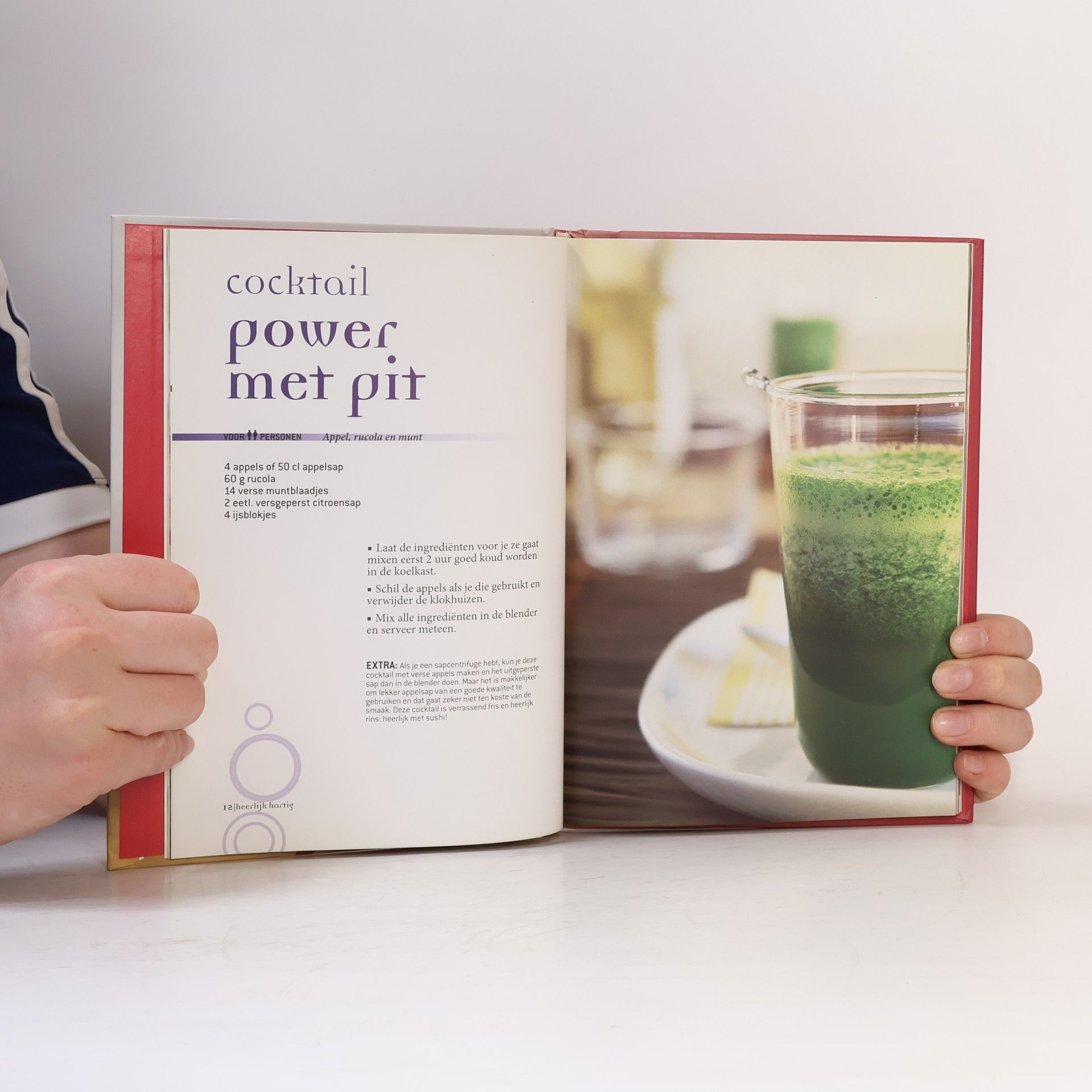 Sylvia Gabet Creatief Culinair - 1: Het Blender boek