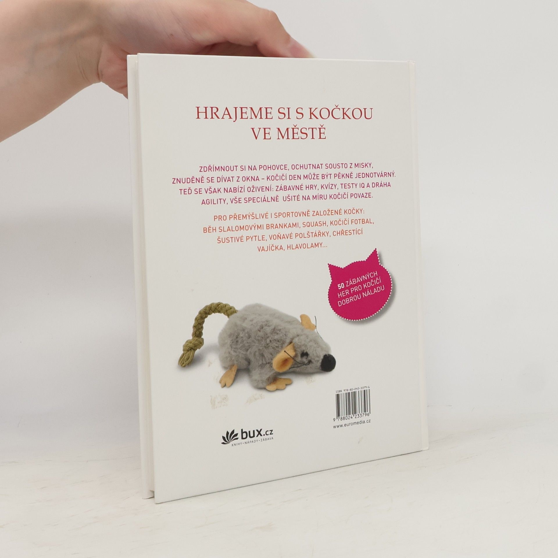 Denise Seidl Hrajeme si s kočkou : 50 skvělých nápadů