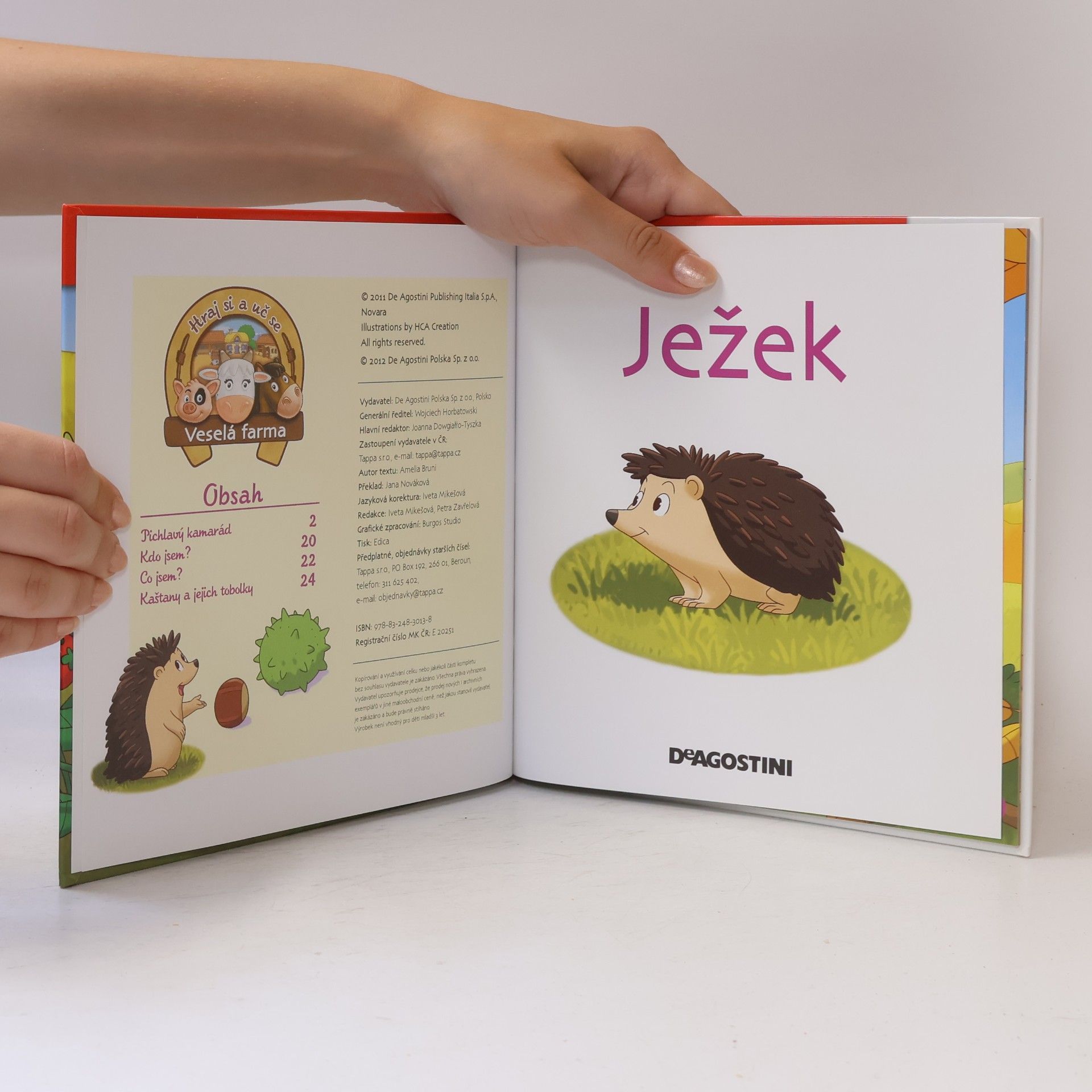 Various authors Na polích a lukách 11. Ježek