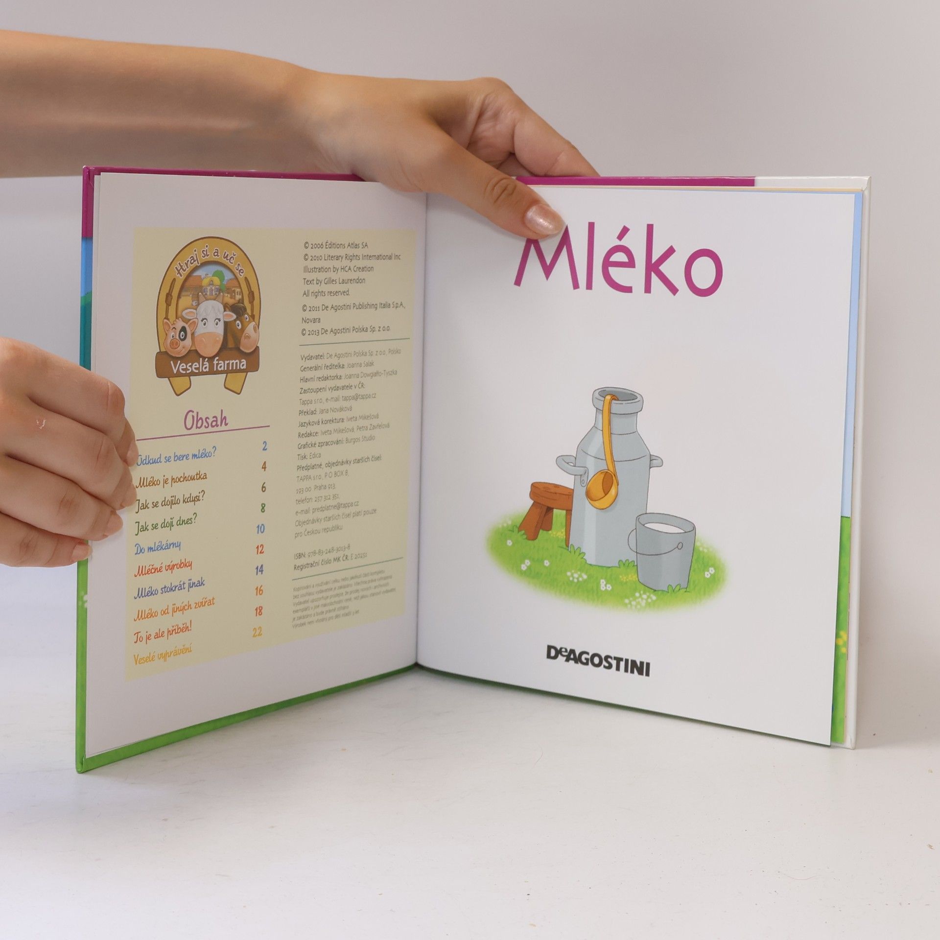 Kolektív autorov Výrobky z venkova 38. Mléko