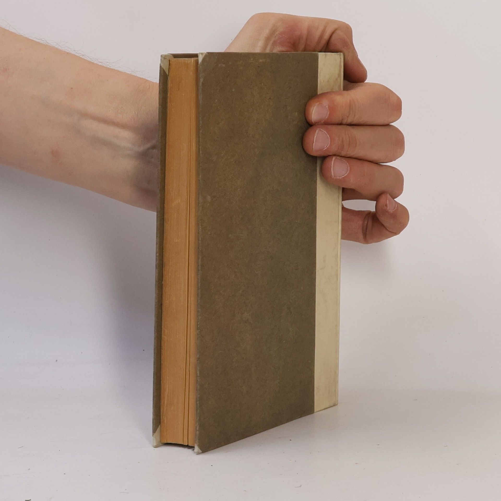 Autorenkollektiv Bibliothek der Kirchenväter - Des Heiligen Petrus Chrysologus Ausgewählte Predigten