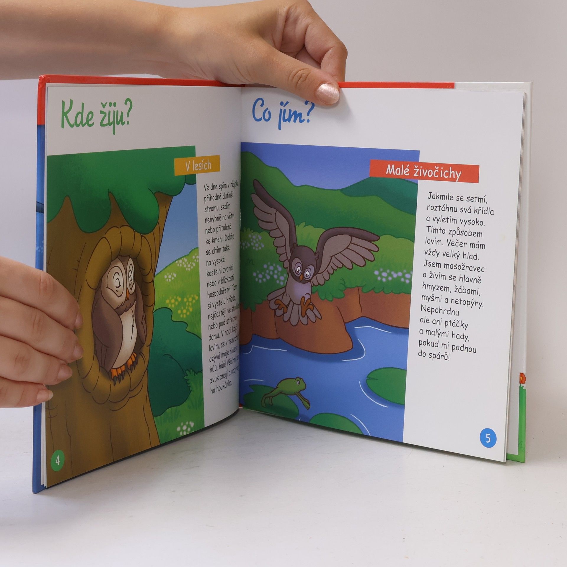Autorenkollektiv Na polích a lukách 26. Noční živočichové