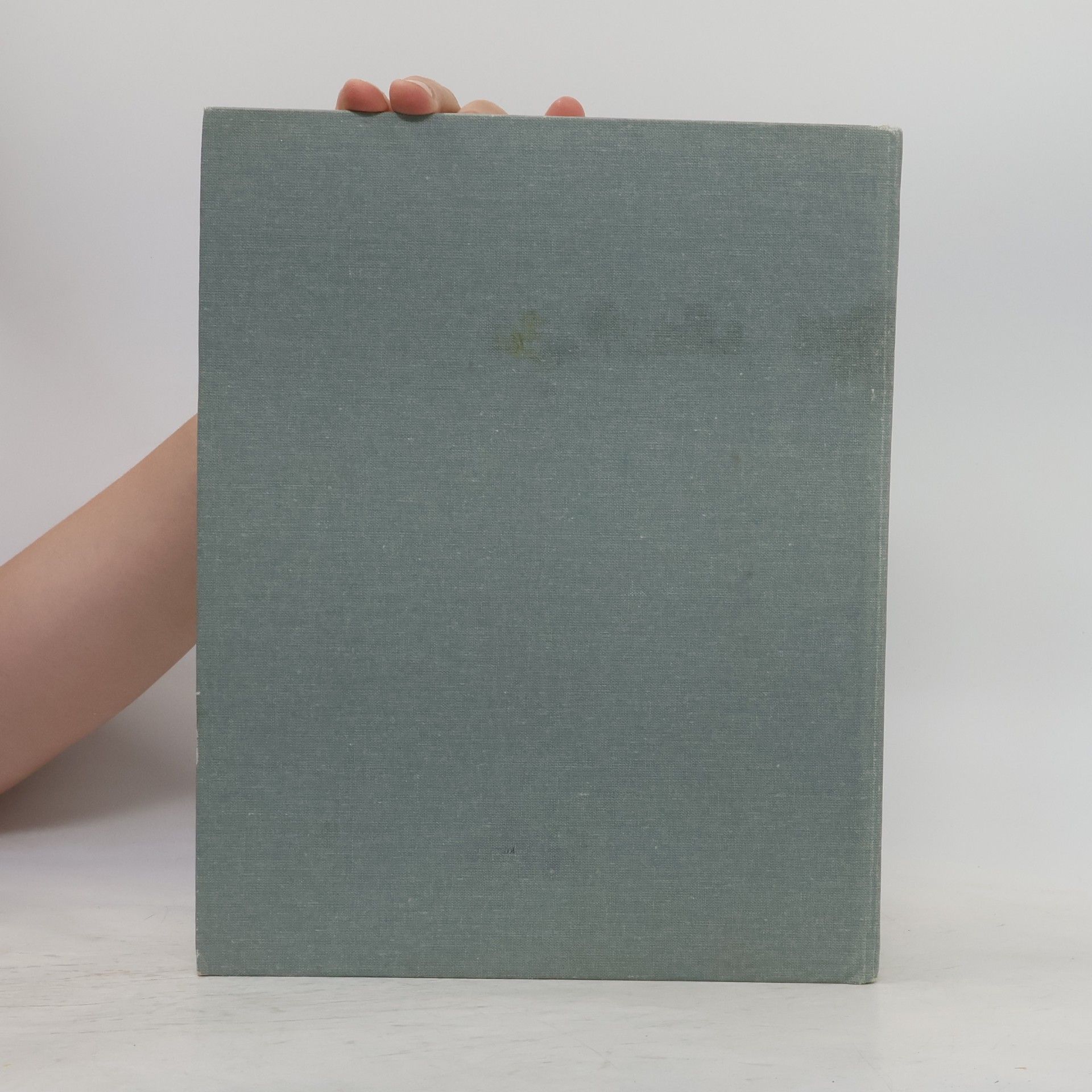 Mária Čierna Nemecko-slovenský slovník. Deutsch-slowakisches Wörterbuch