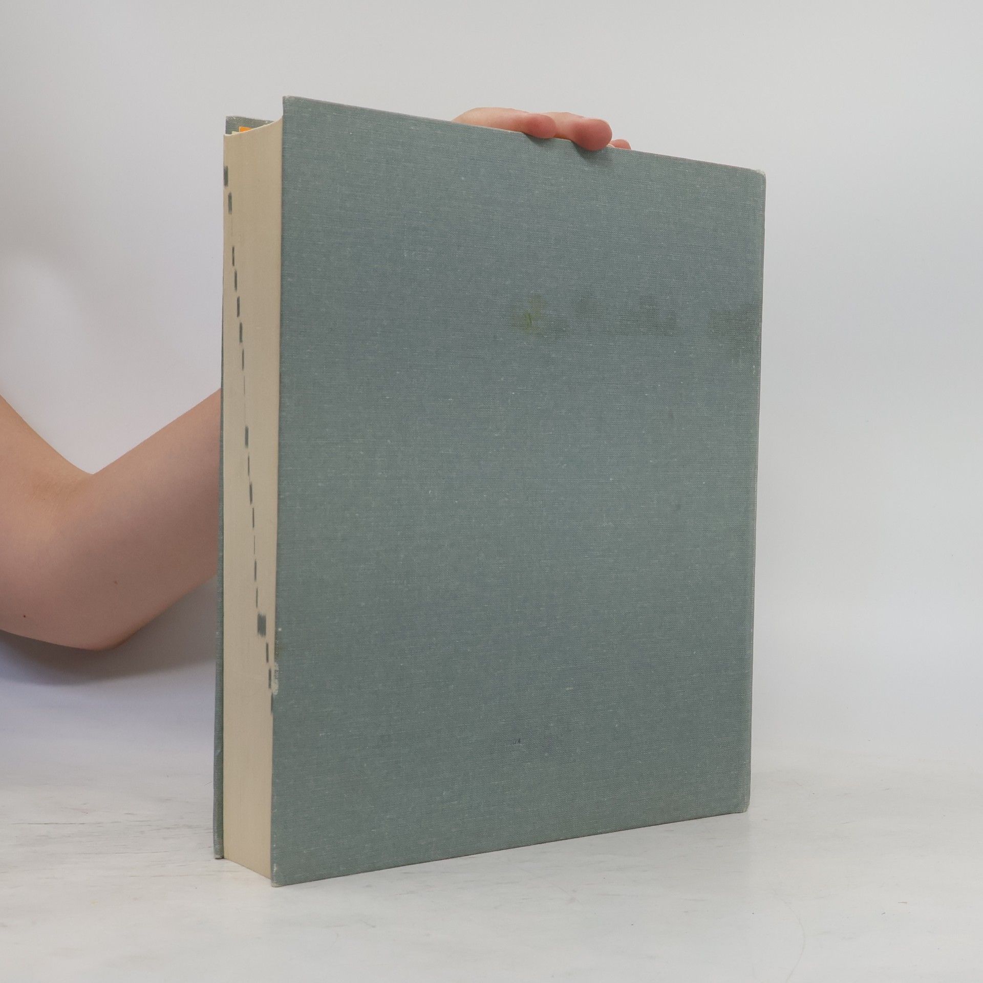 Mária Čierna Nemecko-slovenský slovník. Deutsch-slowakisches Wörterbuch