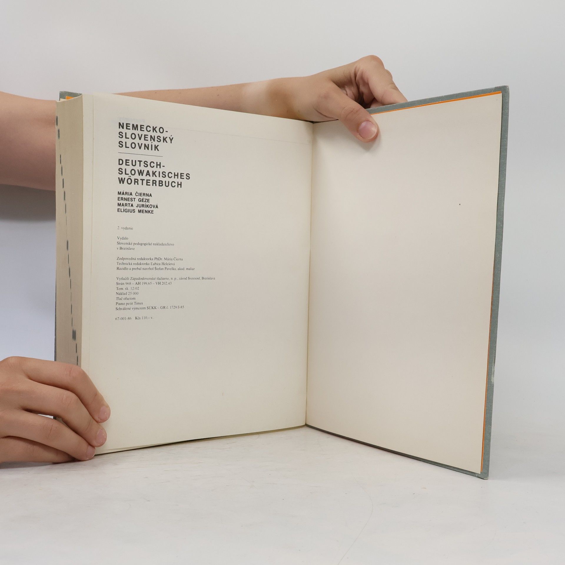 Mária Čierna Nemecko-slovenský slovník. Deutsch-slowakisches Wörterbuch