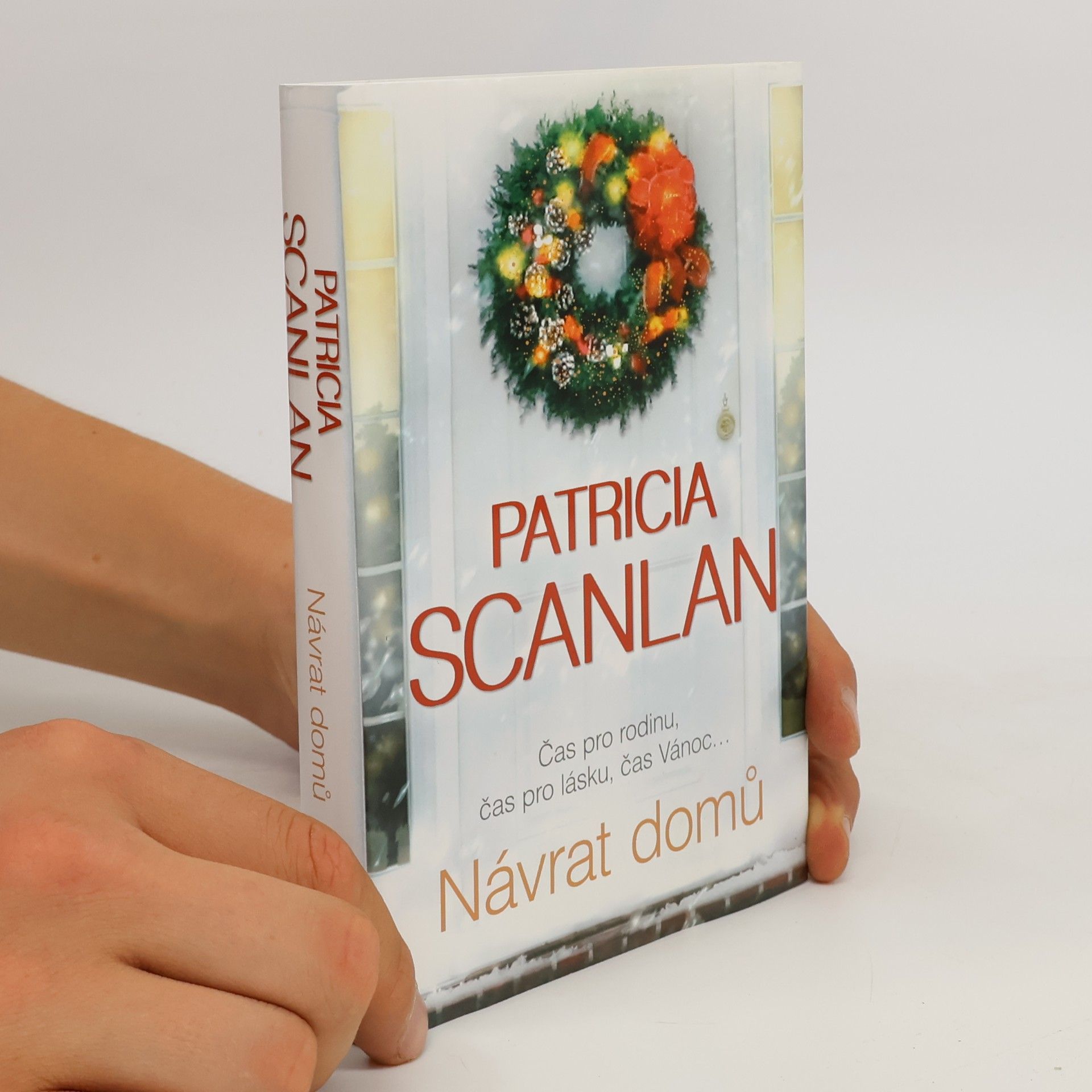 Patricia Scanlan Návrat domů