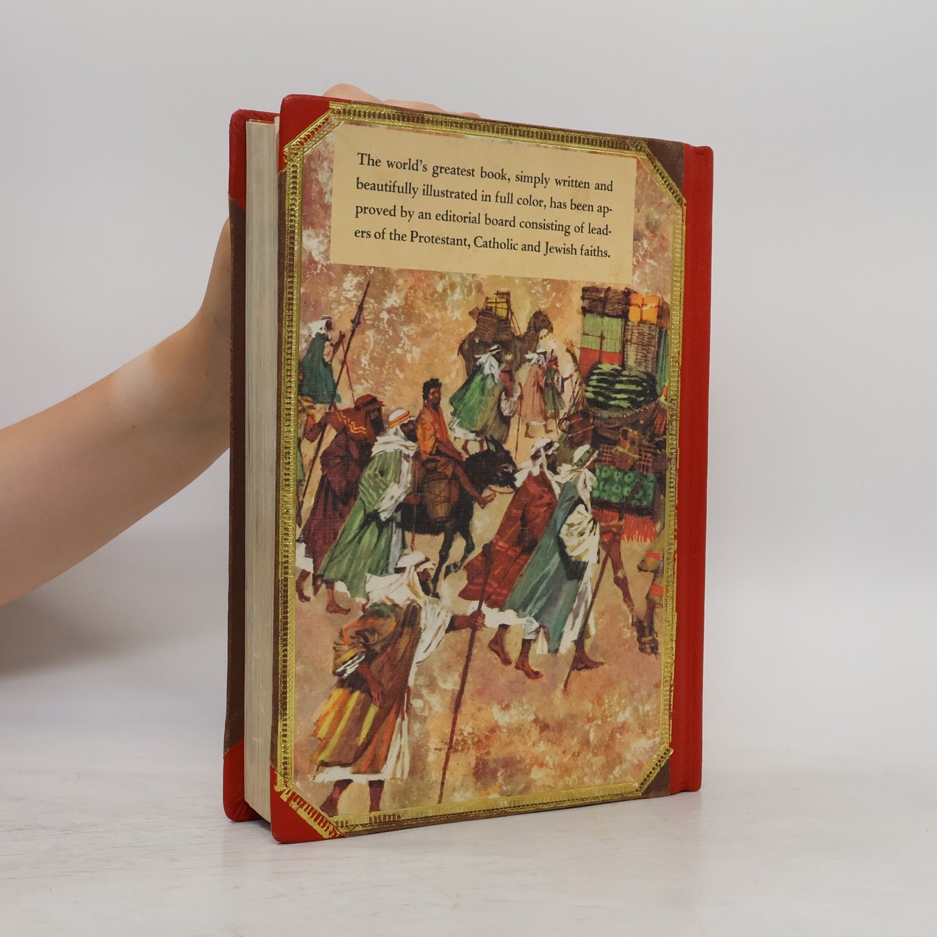 Autorenkollektiv The Catholic Children´s Bible in colour