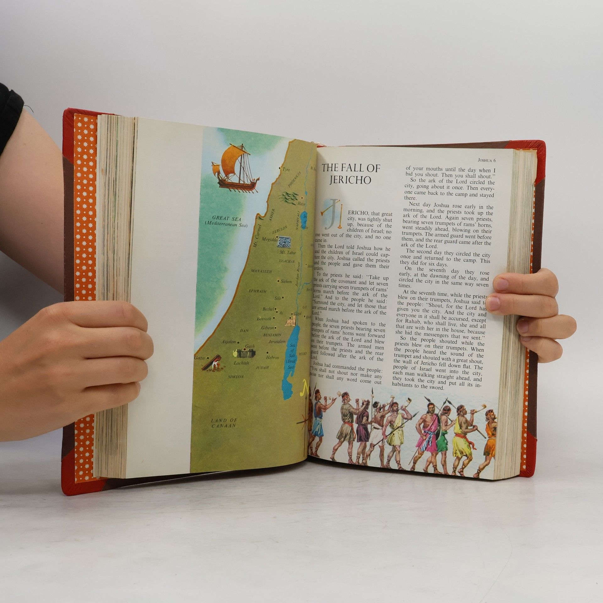 Autorenkollektiv The Catholic Children´s Bible in colour