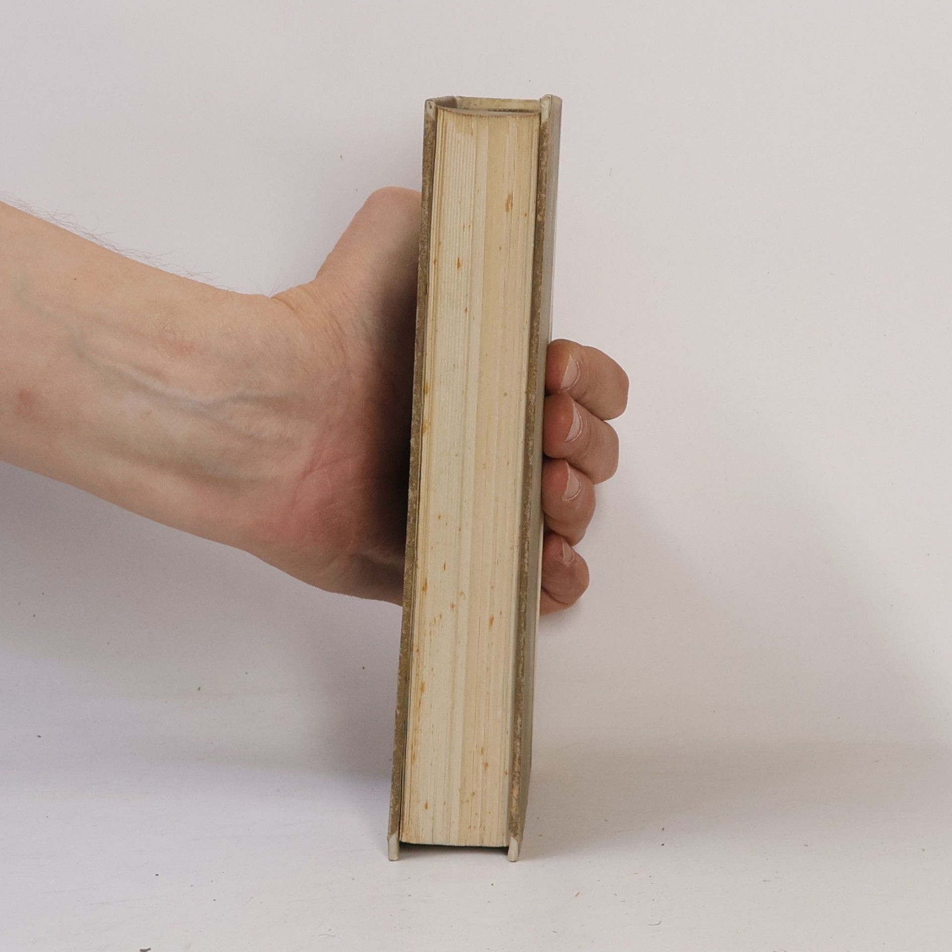 Augustin Zweiundzwanzig Bücher über den Gottesstaat