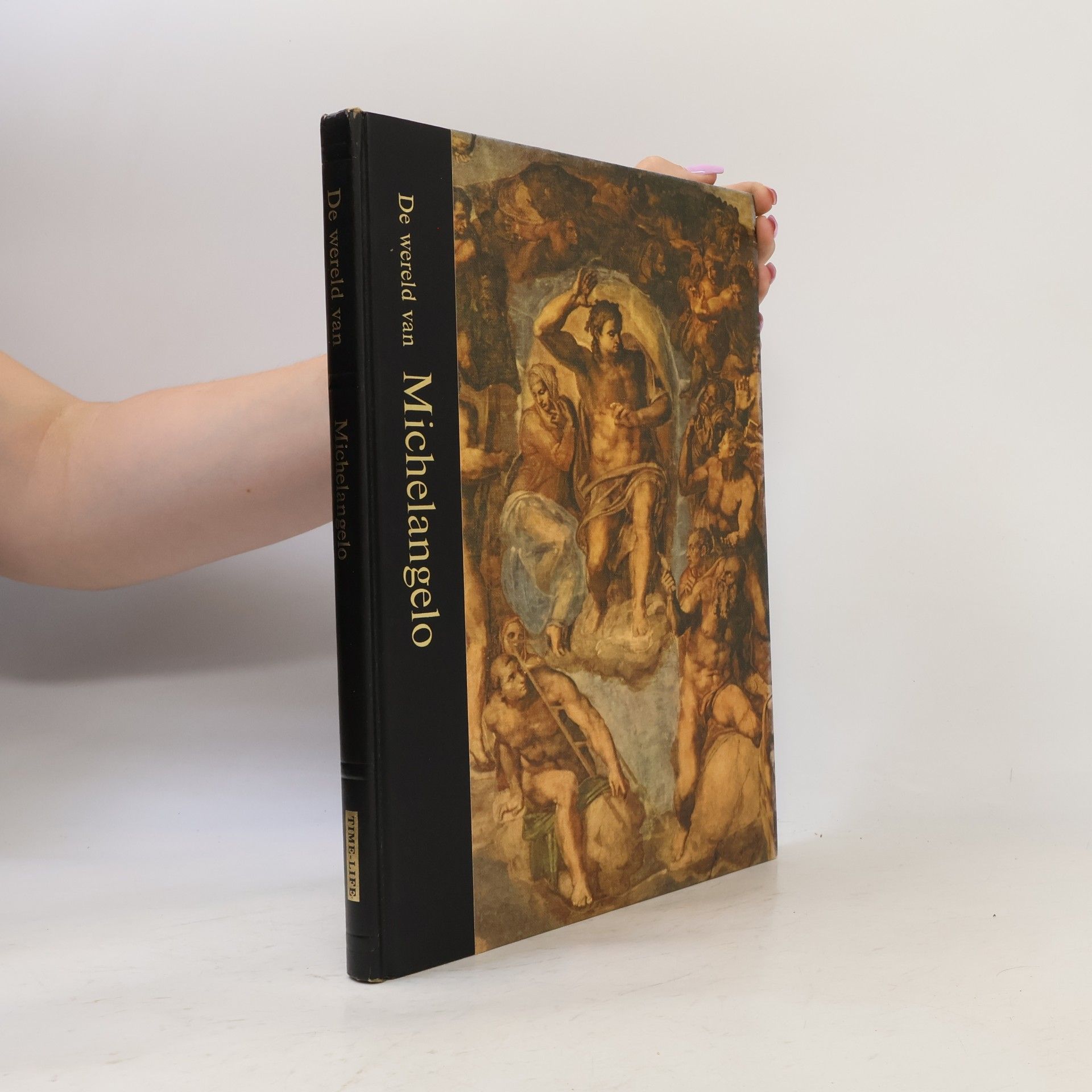 Auteurscollectief De wereld van Michelangelo
