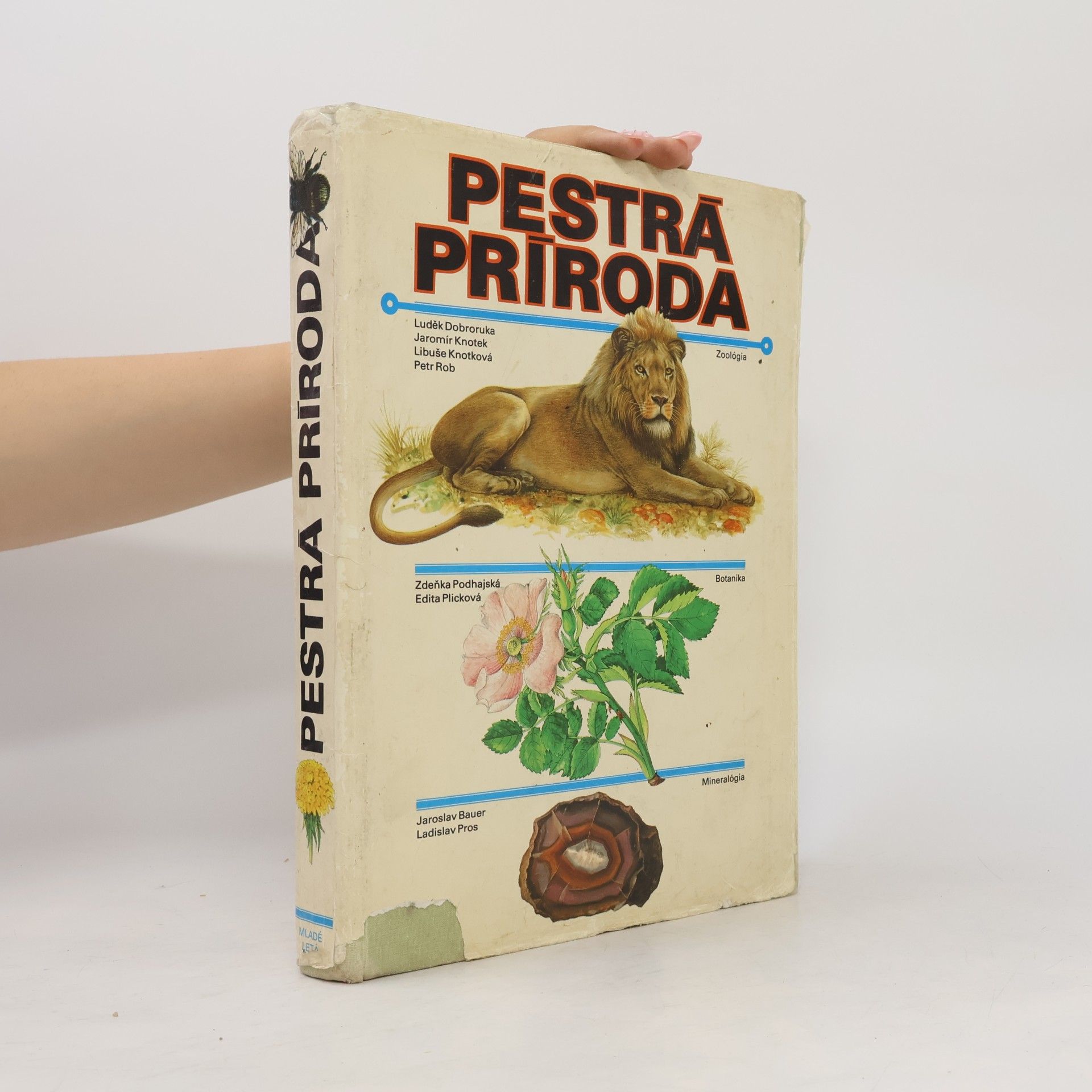 Autorenkollektiv Pestrá príroda