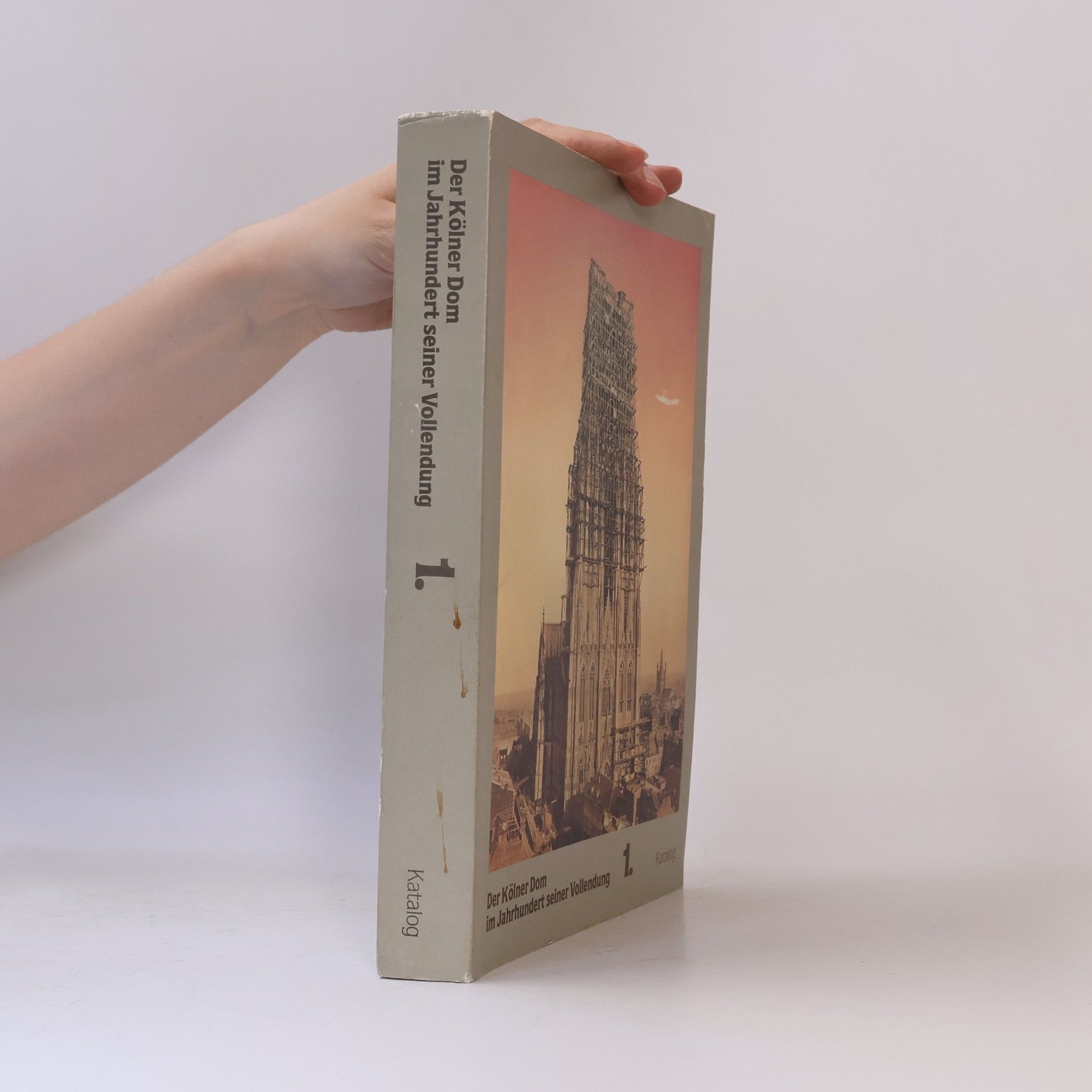 Various authors Der Kölner Dom im Jahrhundert seiner Vollendung 1