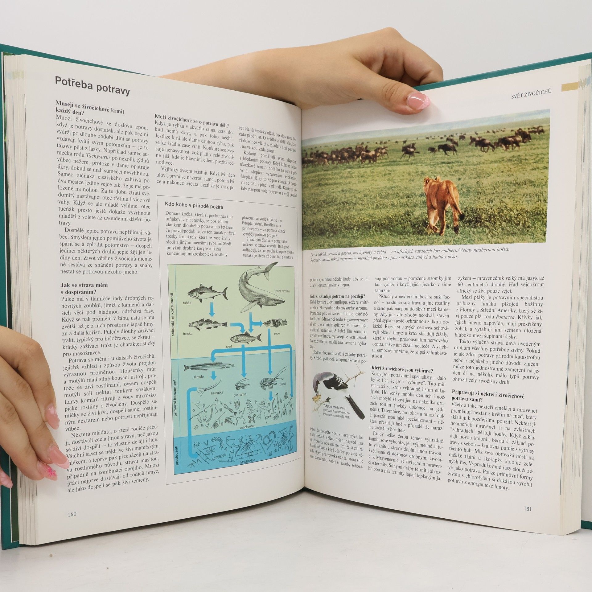 Autores varios ABC přírody. Svět v otázkách a odpovědích