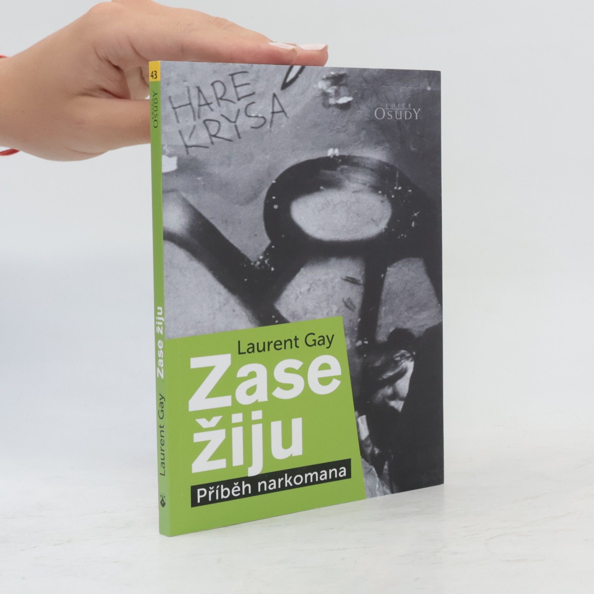 Laurent Gay Zase žiju: Příběh narkomana