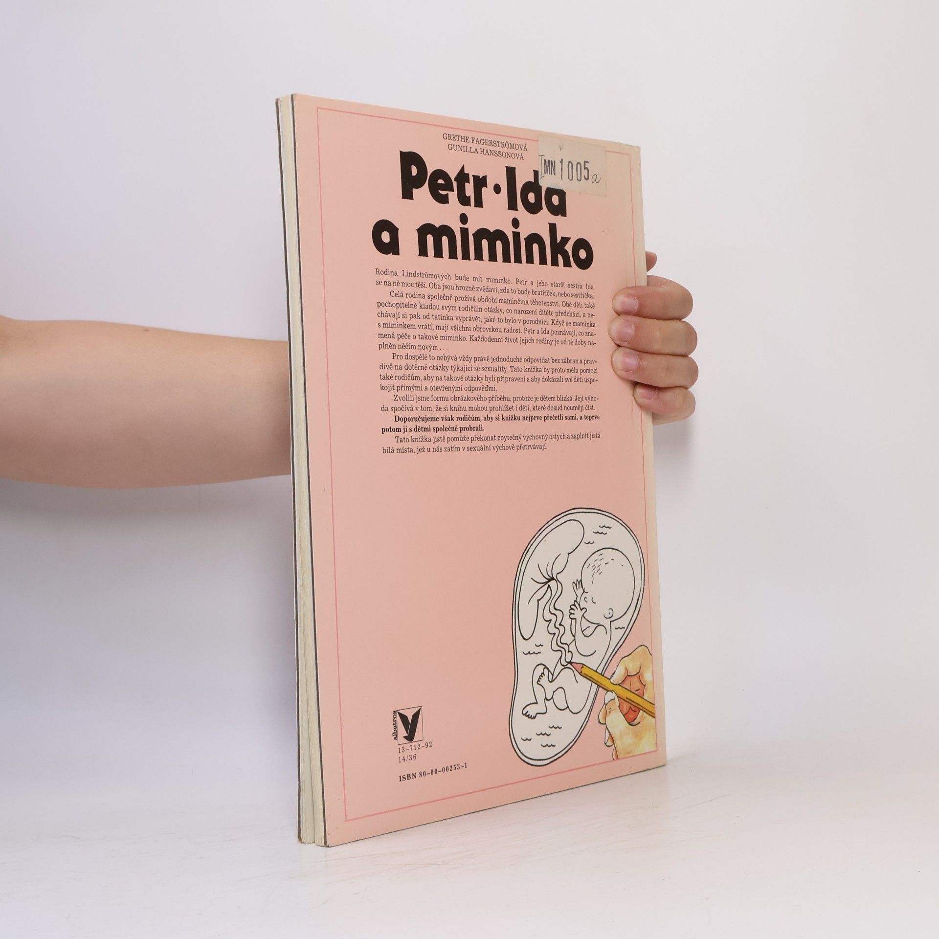 Grethe Fagerström Petr, Ida a miminko: Kniha o soužití v rodině