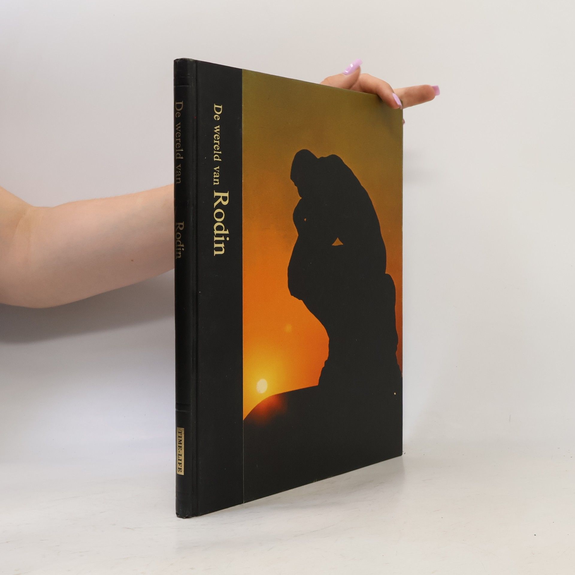 Kolektiv autorů De wereld van Rodin