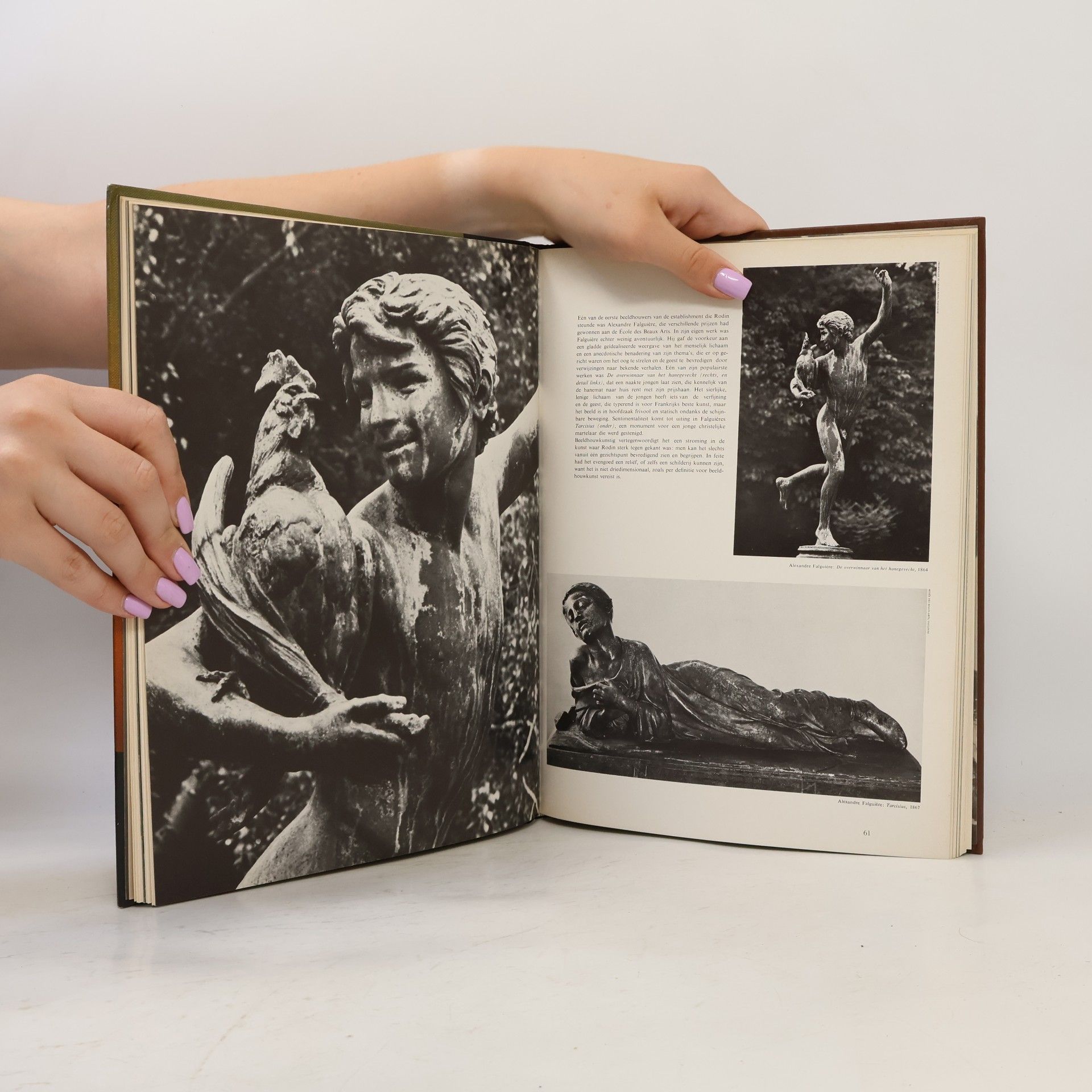 Kolektiv autorů De wereld van Rodin