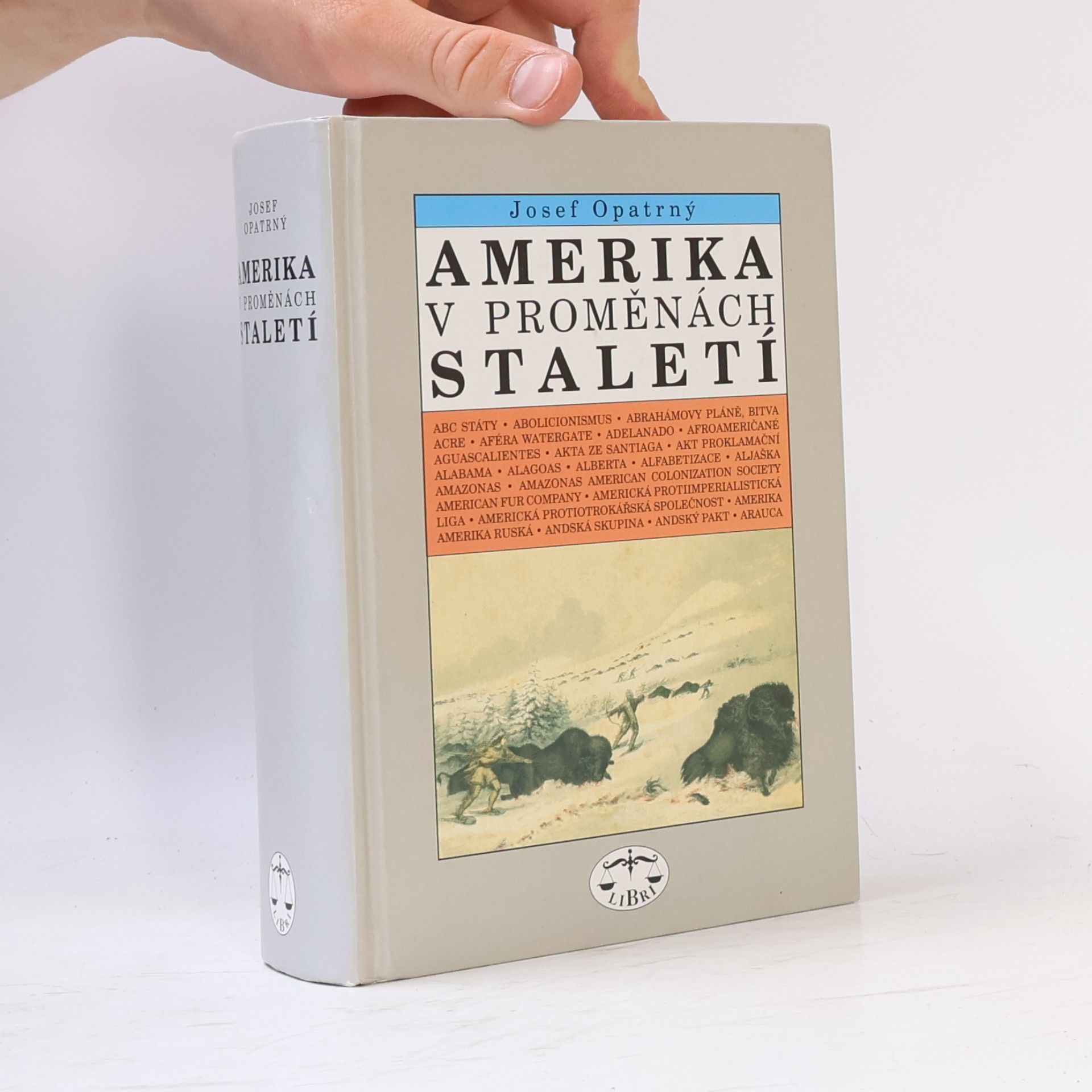 Amerika v proměnách staletí