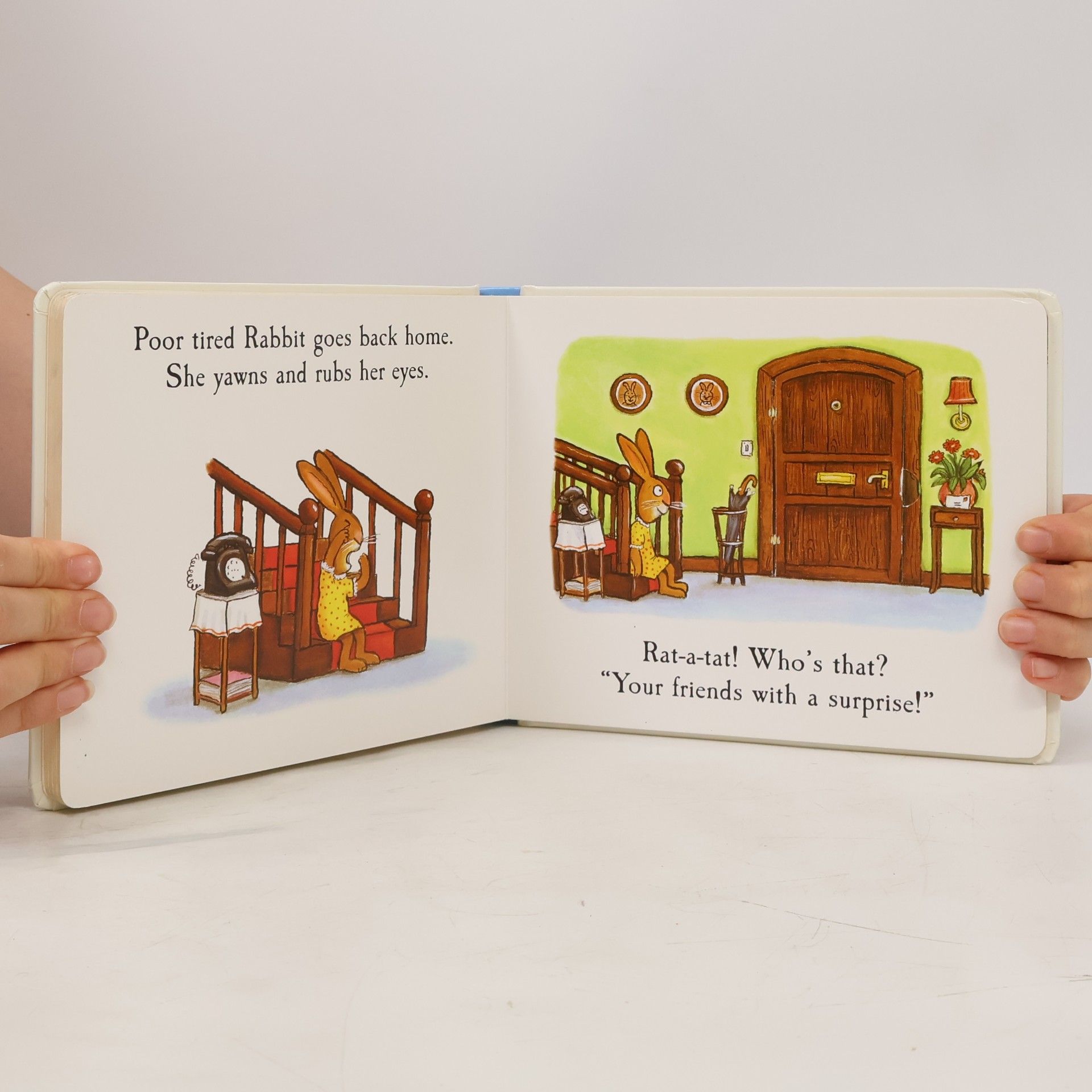 Julia Donaldson Rabbit's Nap