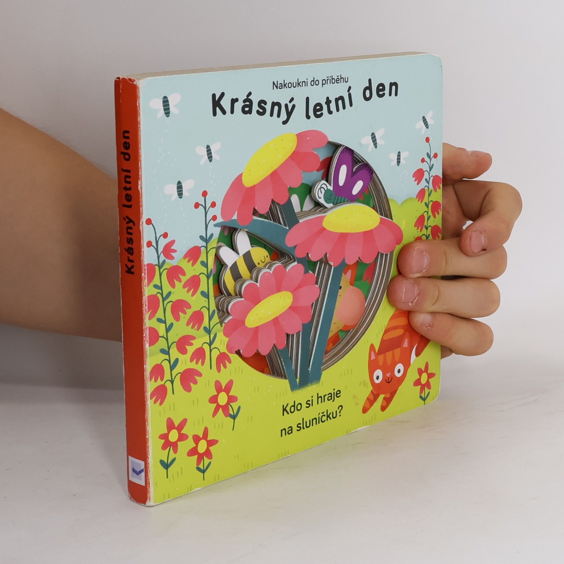 Anne Passchier Krásný letní den : kdo si hraje na sluníčku?