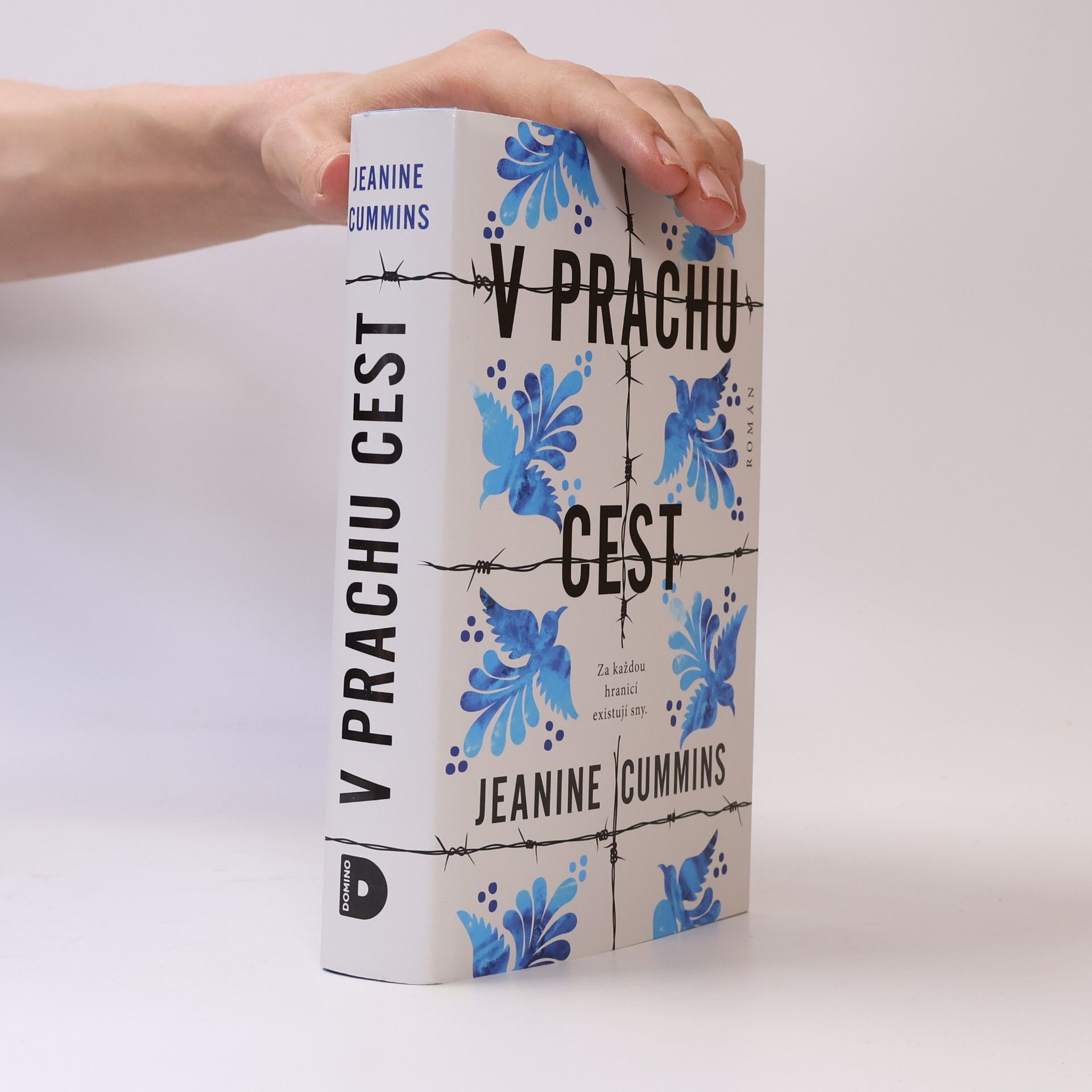 Jeanine Cummins V prachu cest