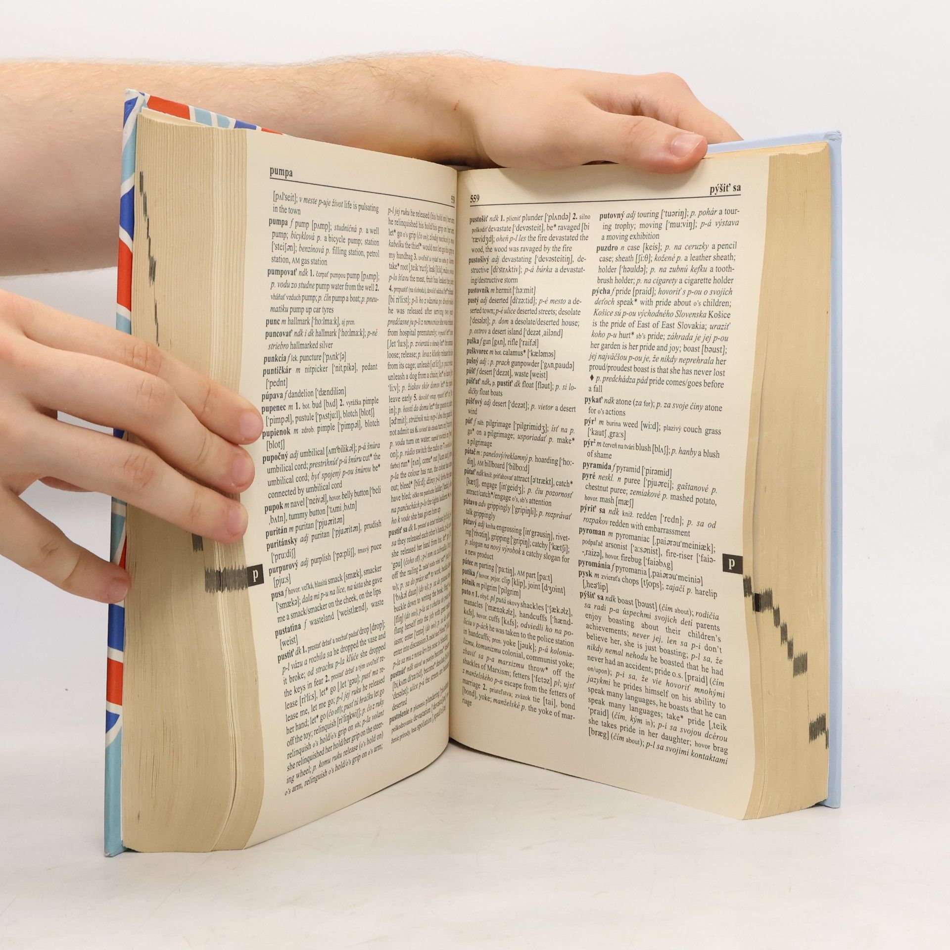 Various authors Slovensko-anglický slovník