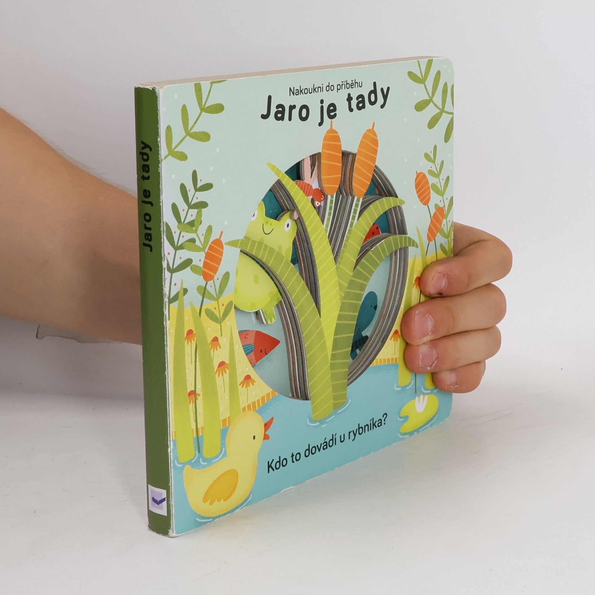 Anne Passchier Jaro je tady