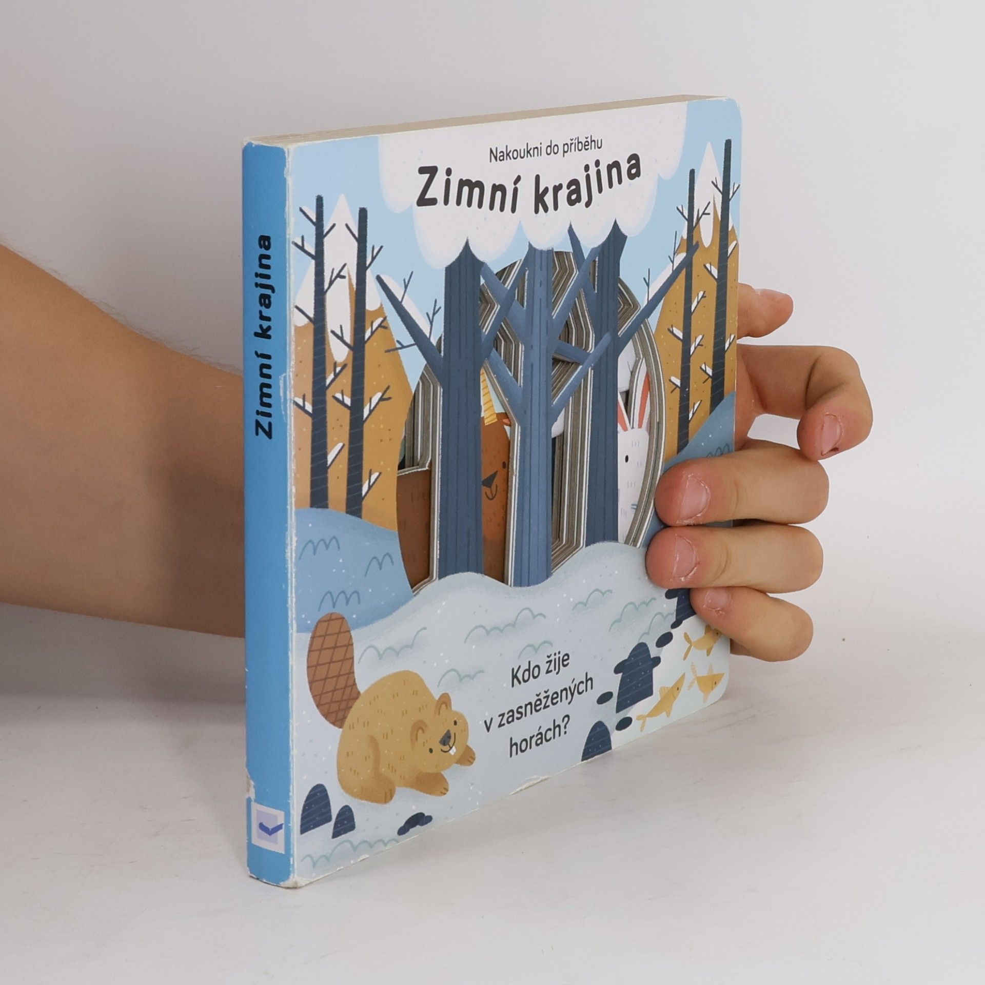 Anne Passchier Zimní krajina. Kdo žije v zasněžených horách?