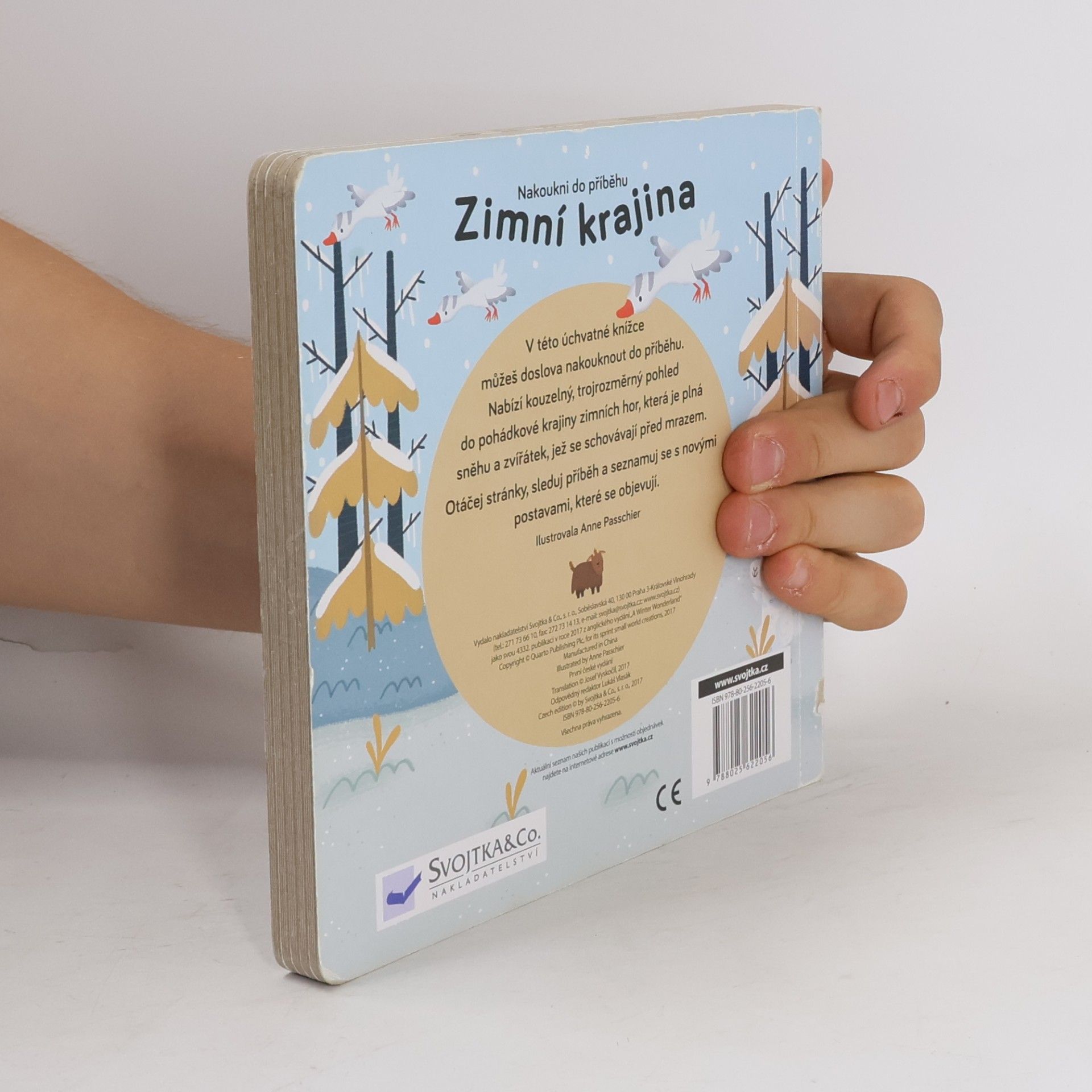 Anne Passchier Zimní krajina. Kdo žije v zasněžených horách?