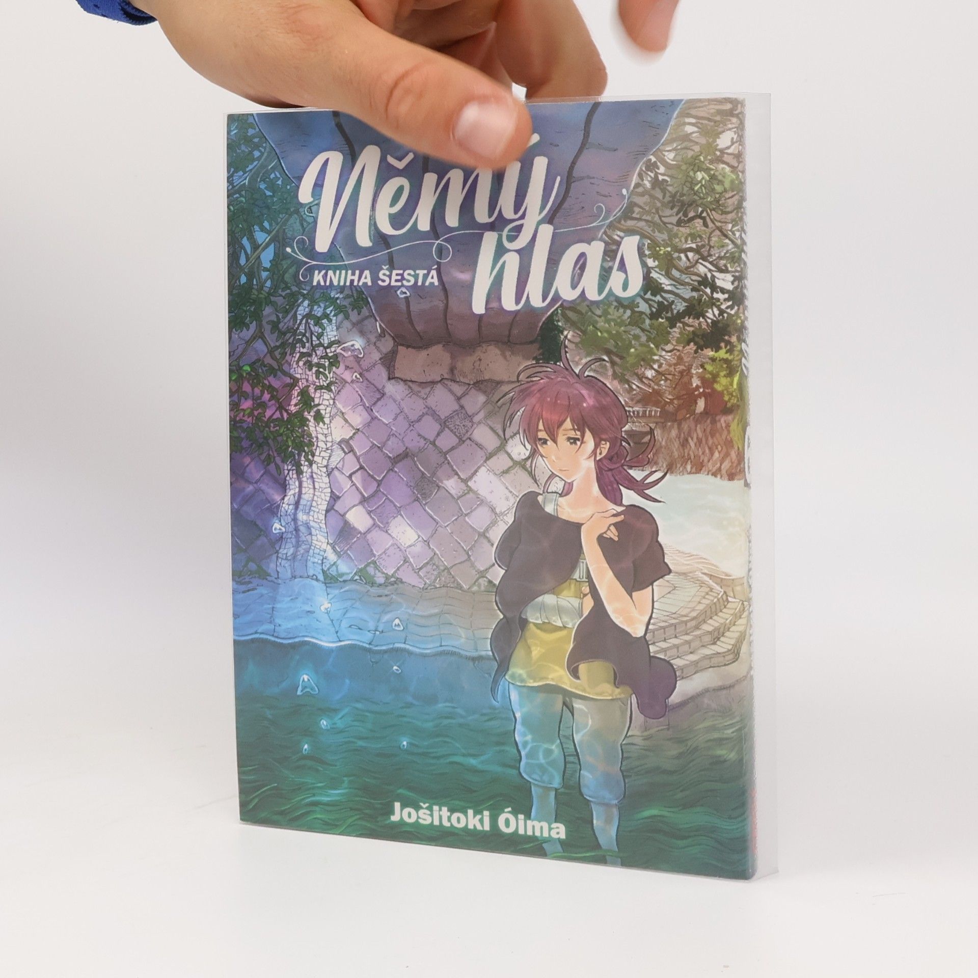 Němý hlas. Kniha šestá