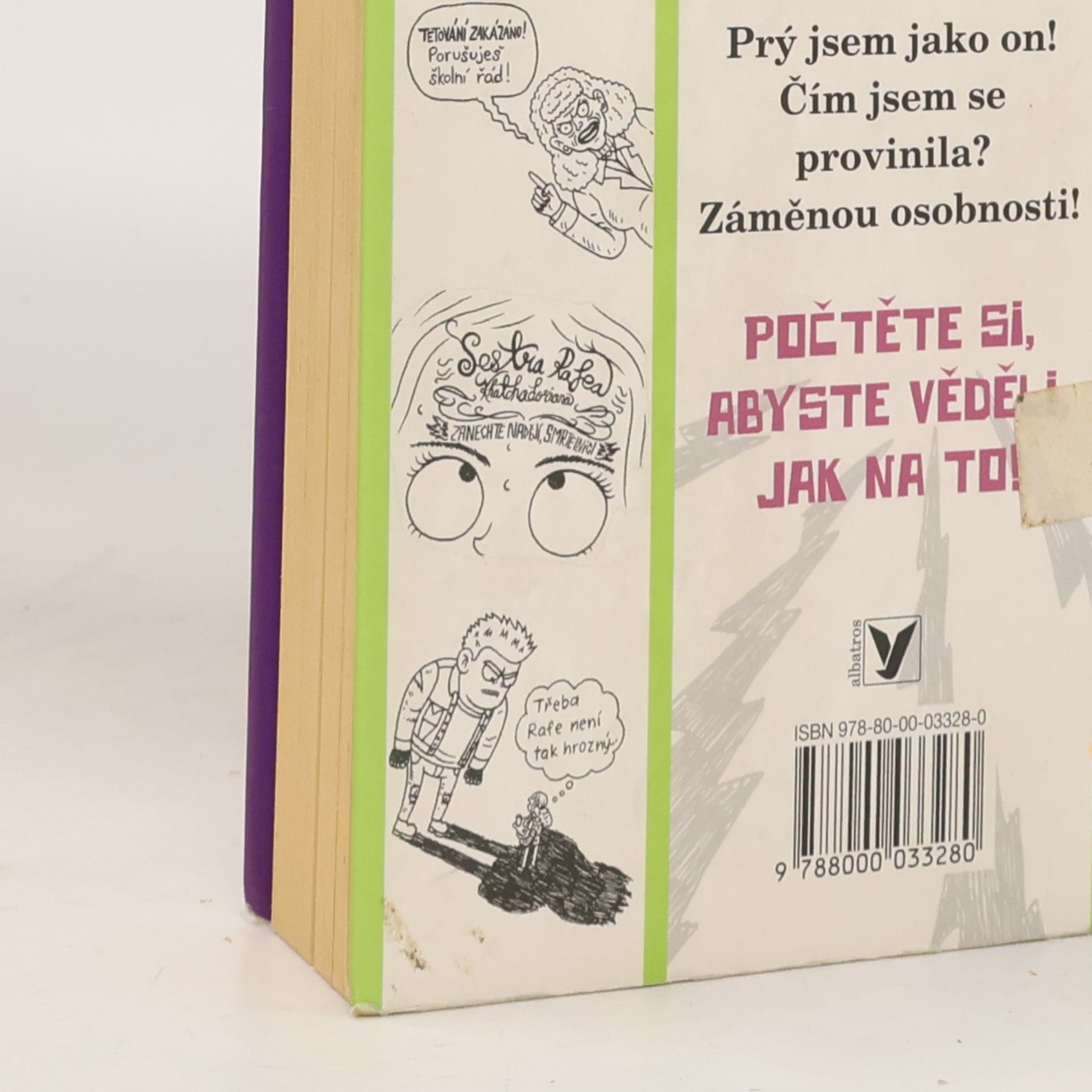 James Patterson Můj nejhorší školní rok : můj brácha je vypečený sedmilhář