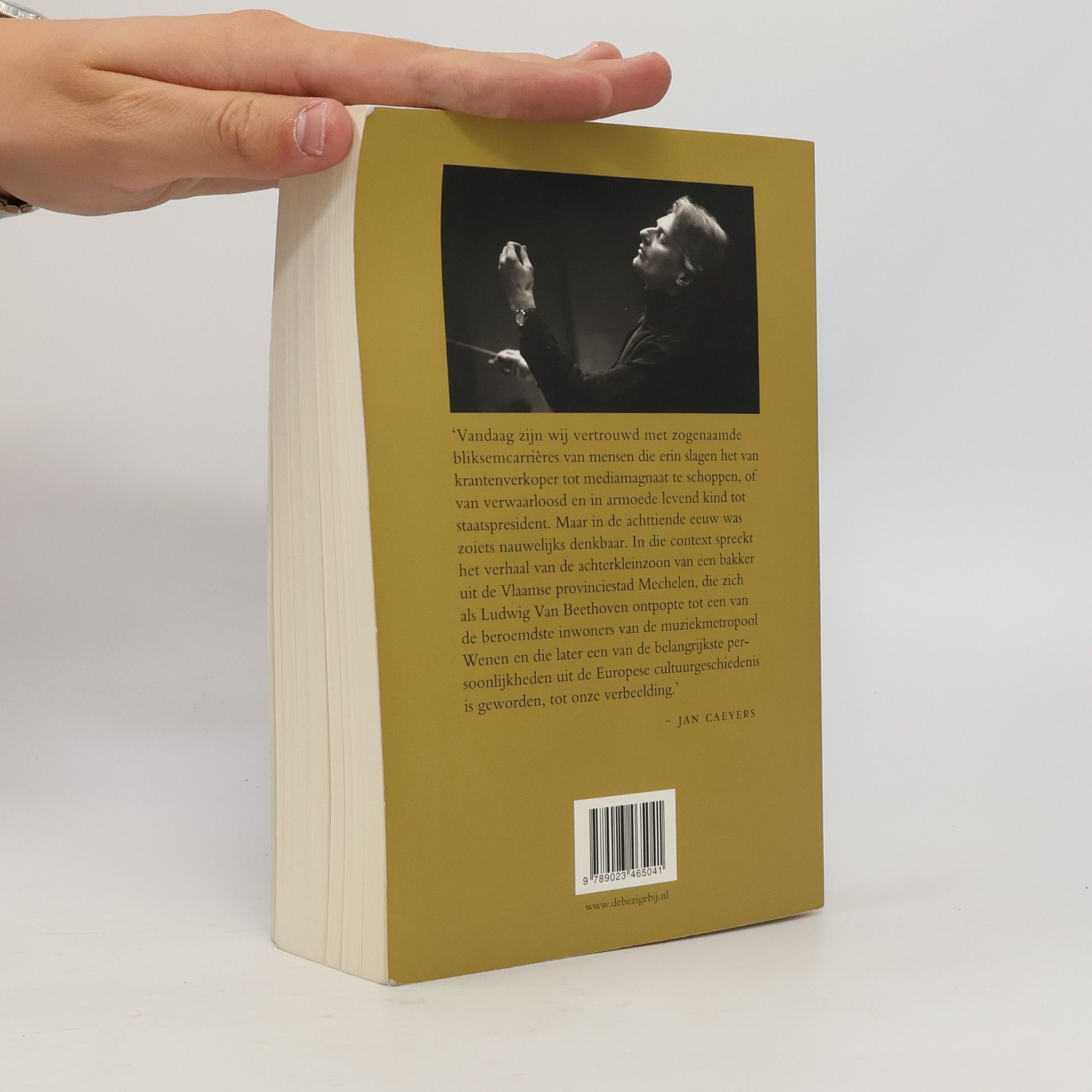 Jan Caeyers Beethoven, een biografie