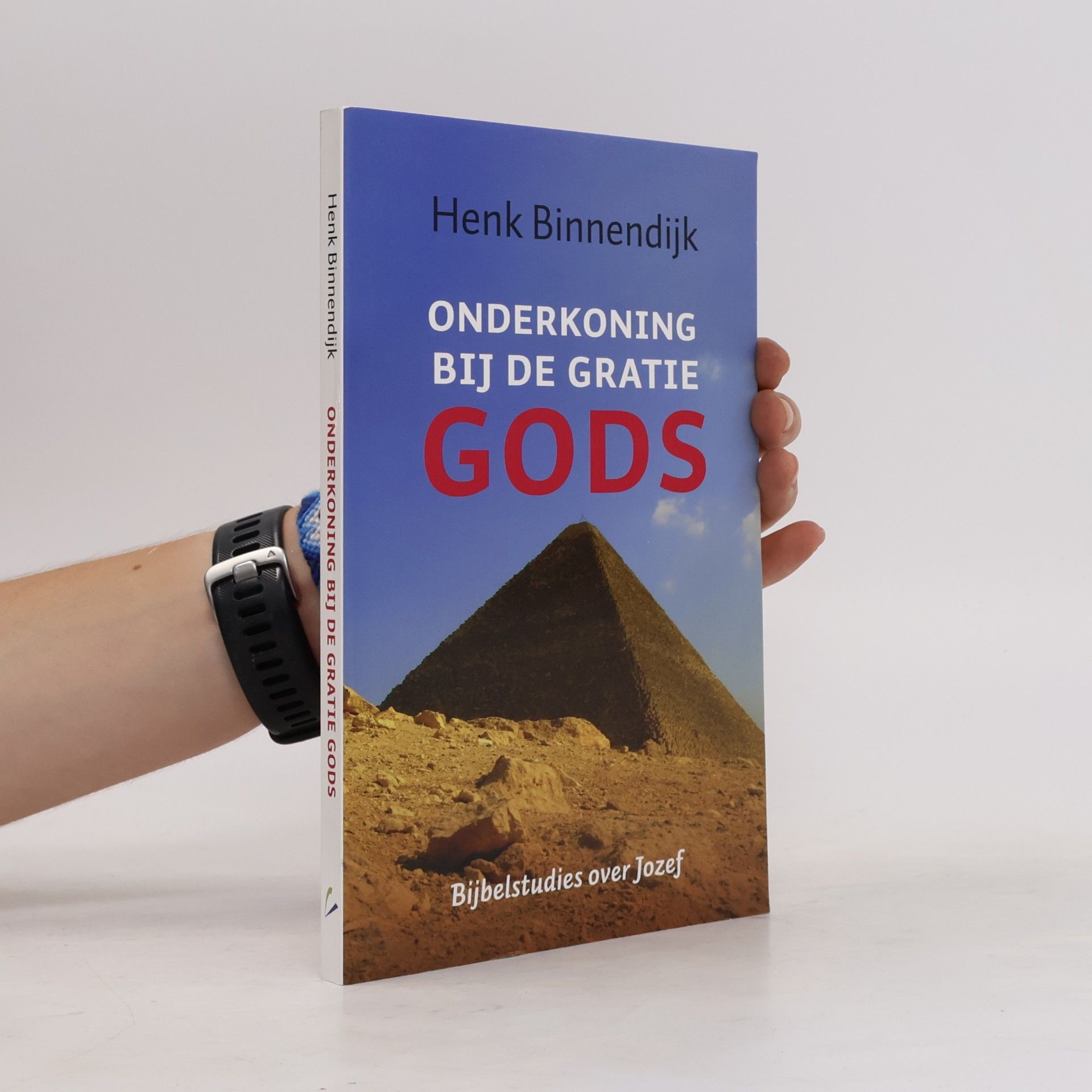 Hendrik Nicolaas Dirk Binnendijk Onderkoning bij de gratie Gods