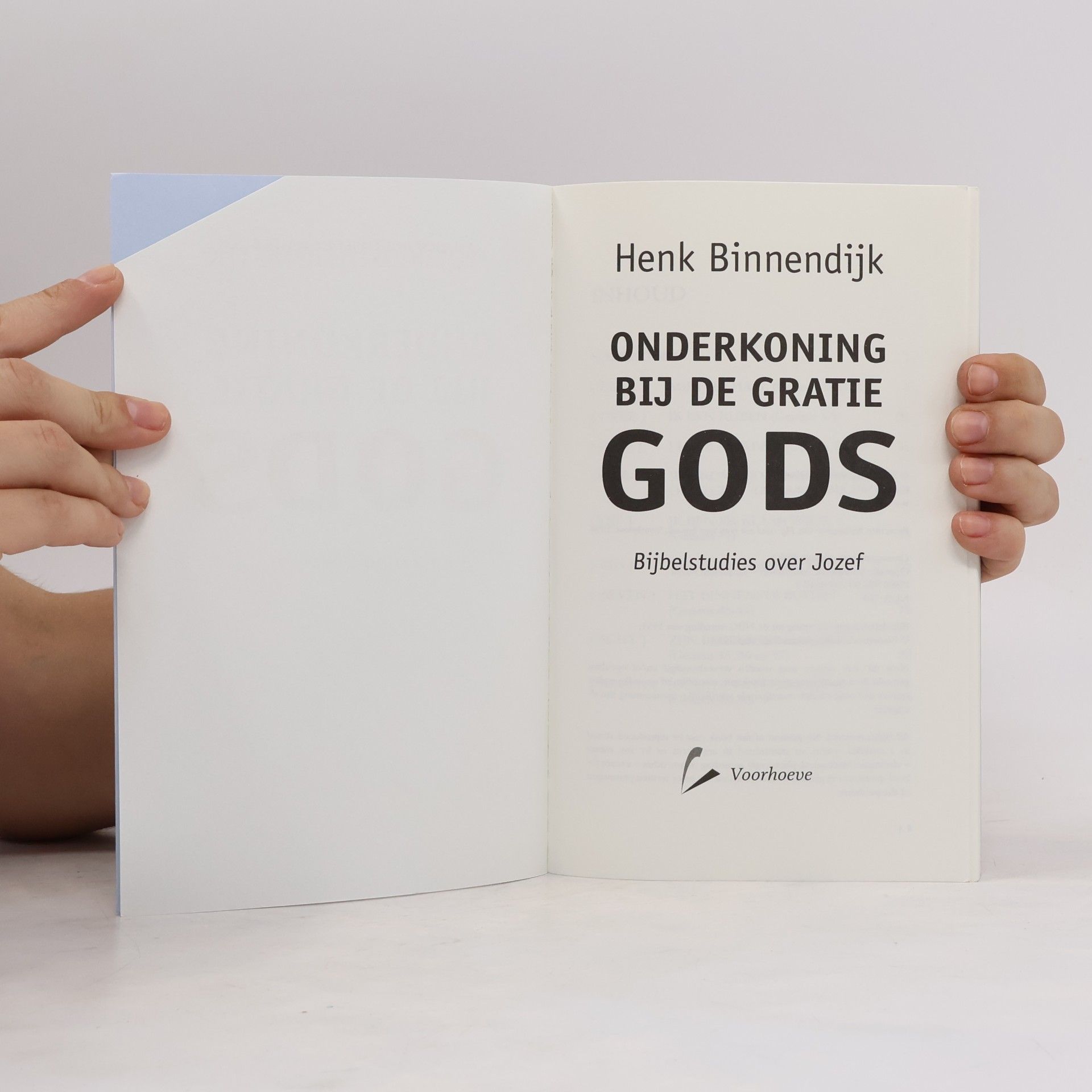 Hendrik Nicolaas Dirk Binnendijk Onderkoning bij de gratie Gods