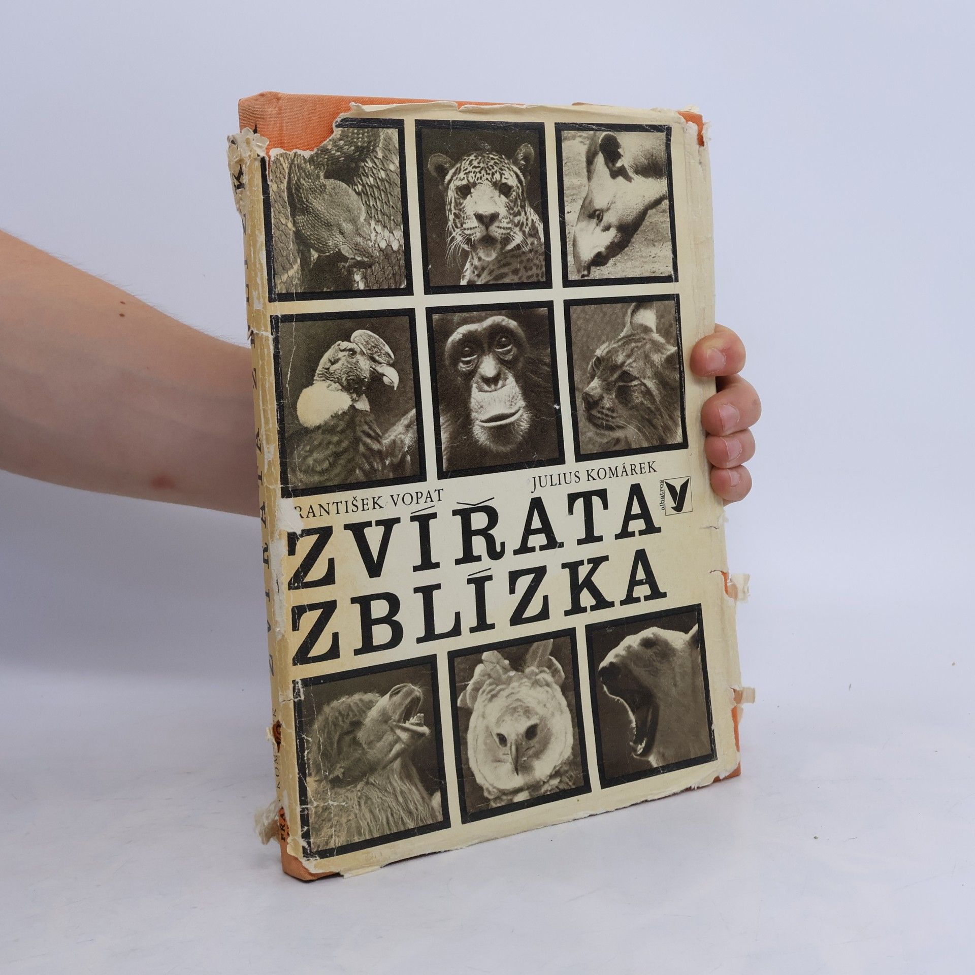 František Vopat Zvířata zblízka