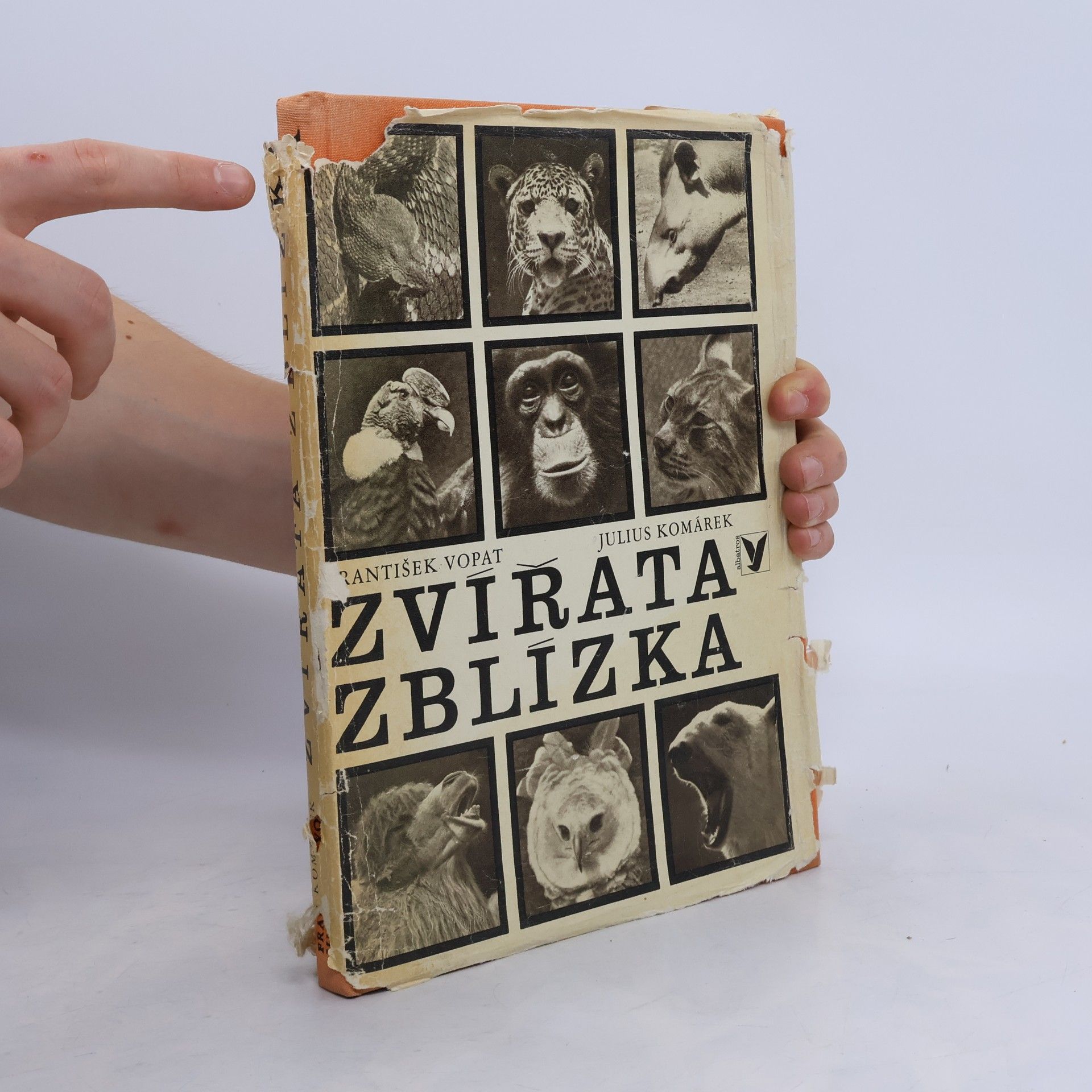 František Vopat Zvířata zblízka