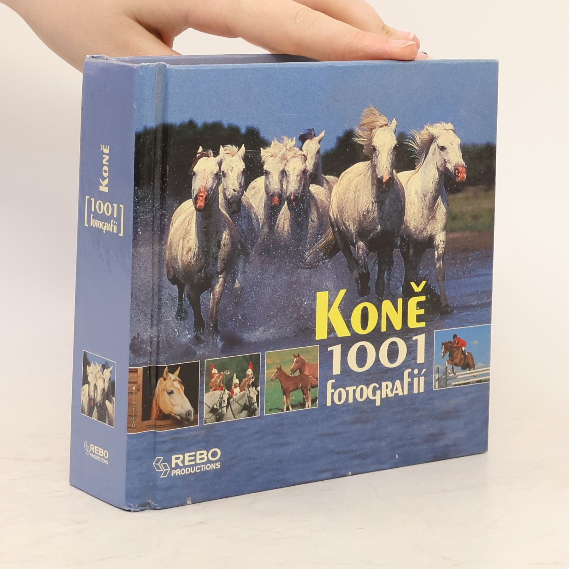 Kolektív autorov Koně. 1001 fotografií