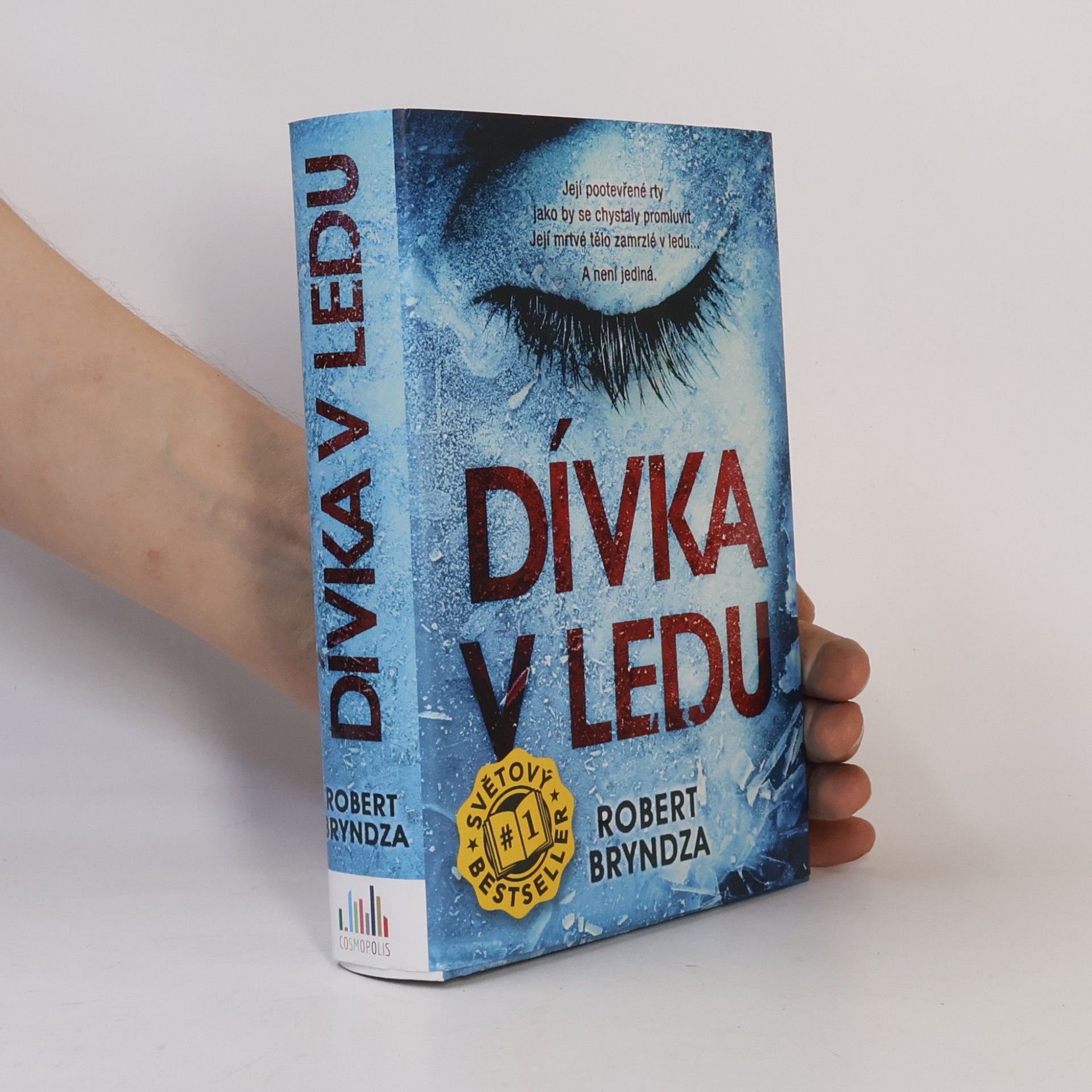 Robert Bryndza Dívka v ledu