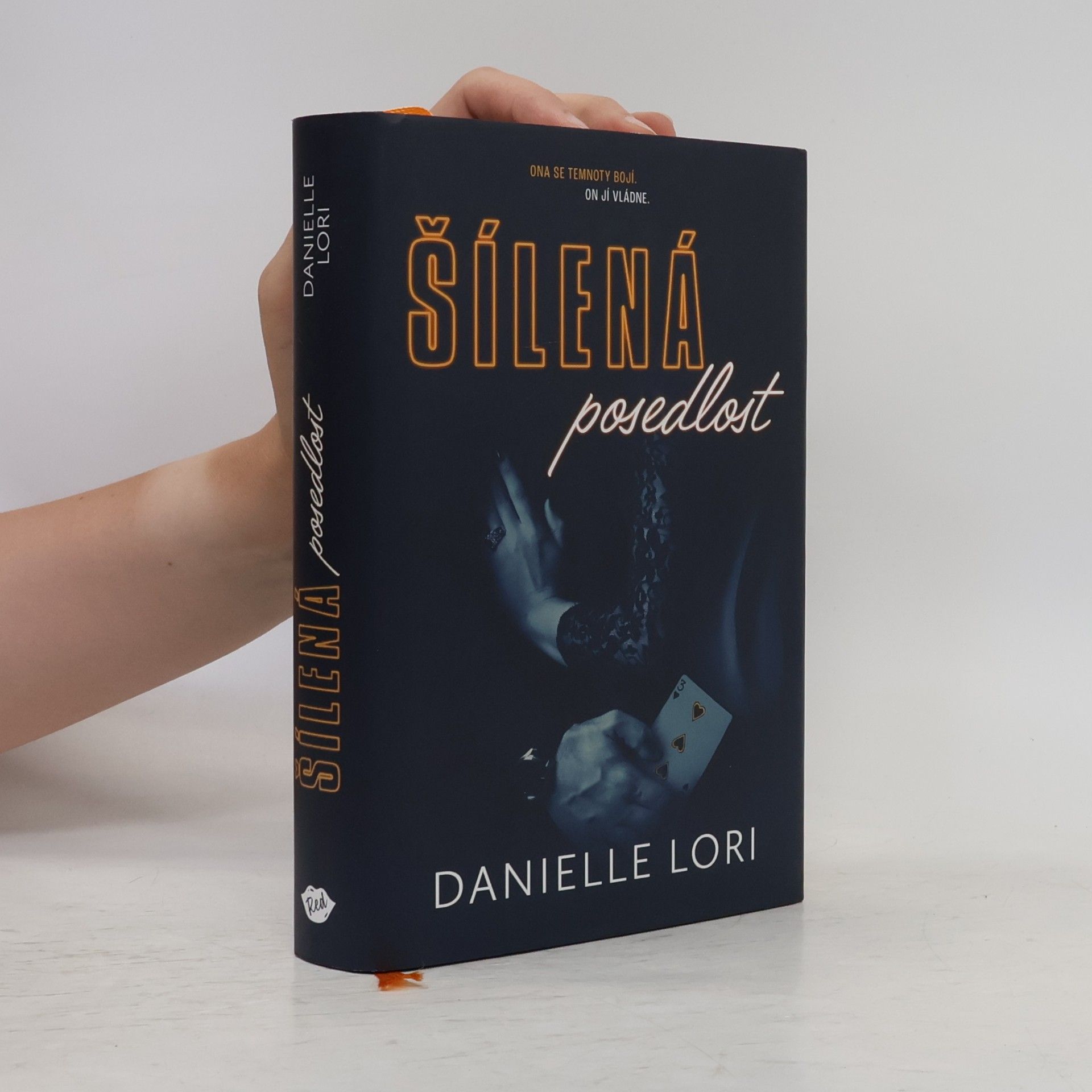Danielle Lori Šílená posedlost